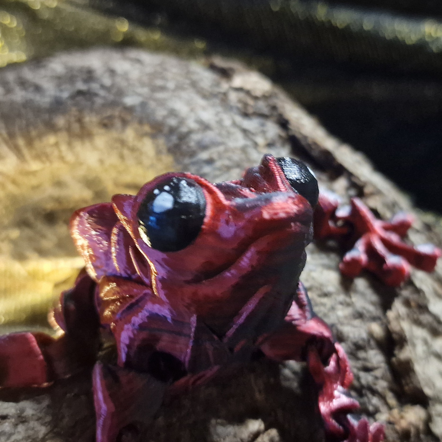 Grenouille de Rose