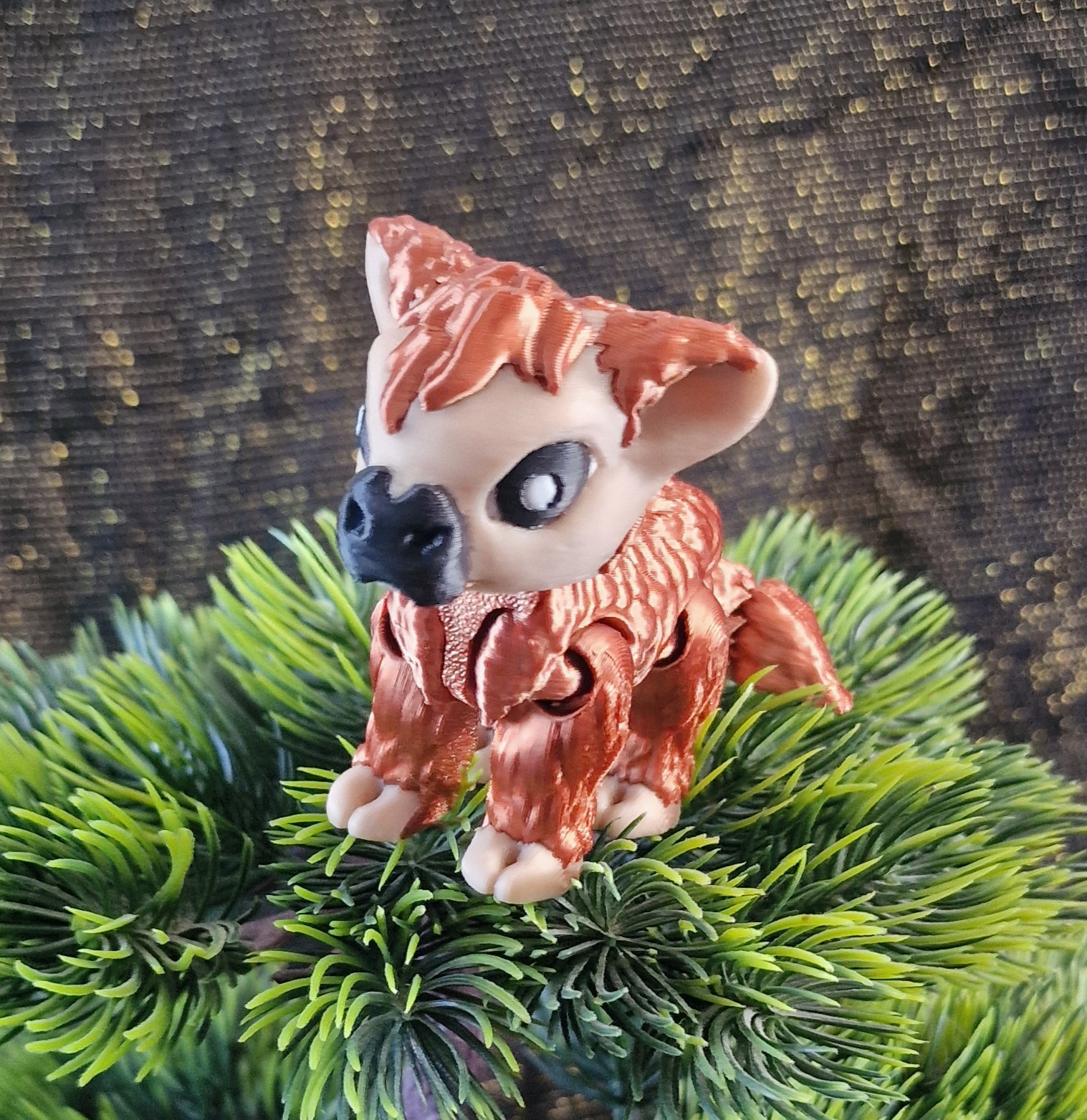 Bébé Highland