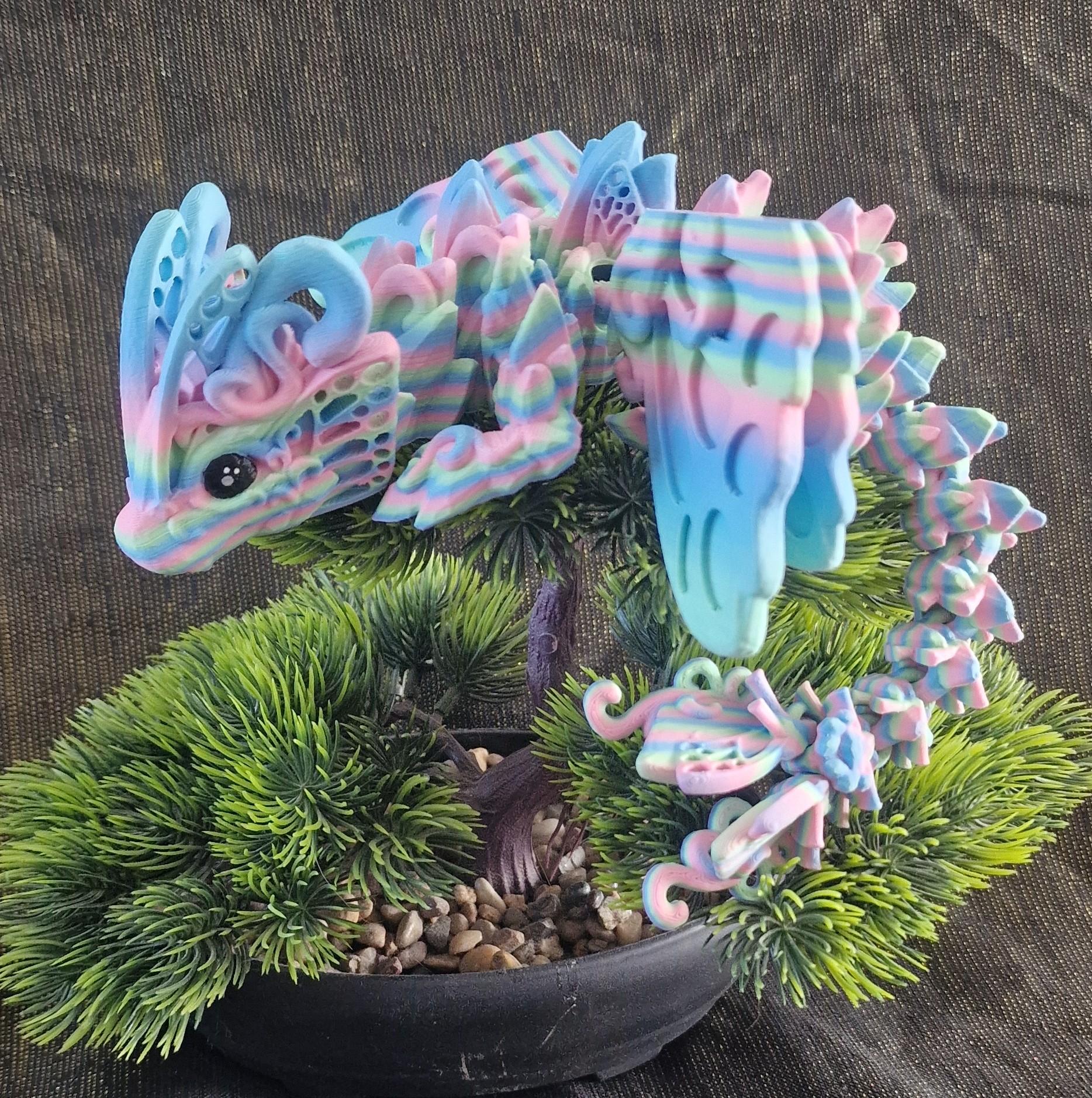 Bébé Dragon-Papillon aux Petites Ailes