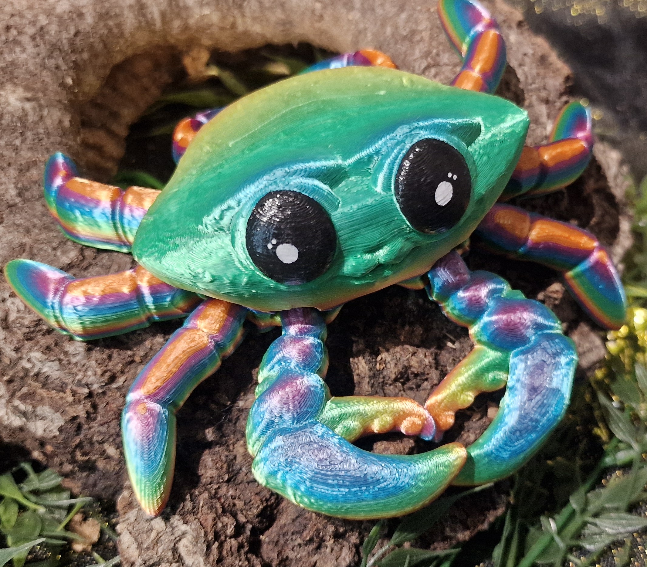Bébé Crabe