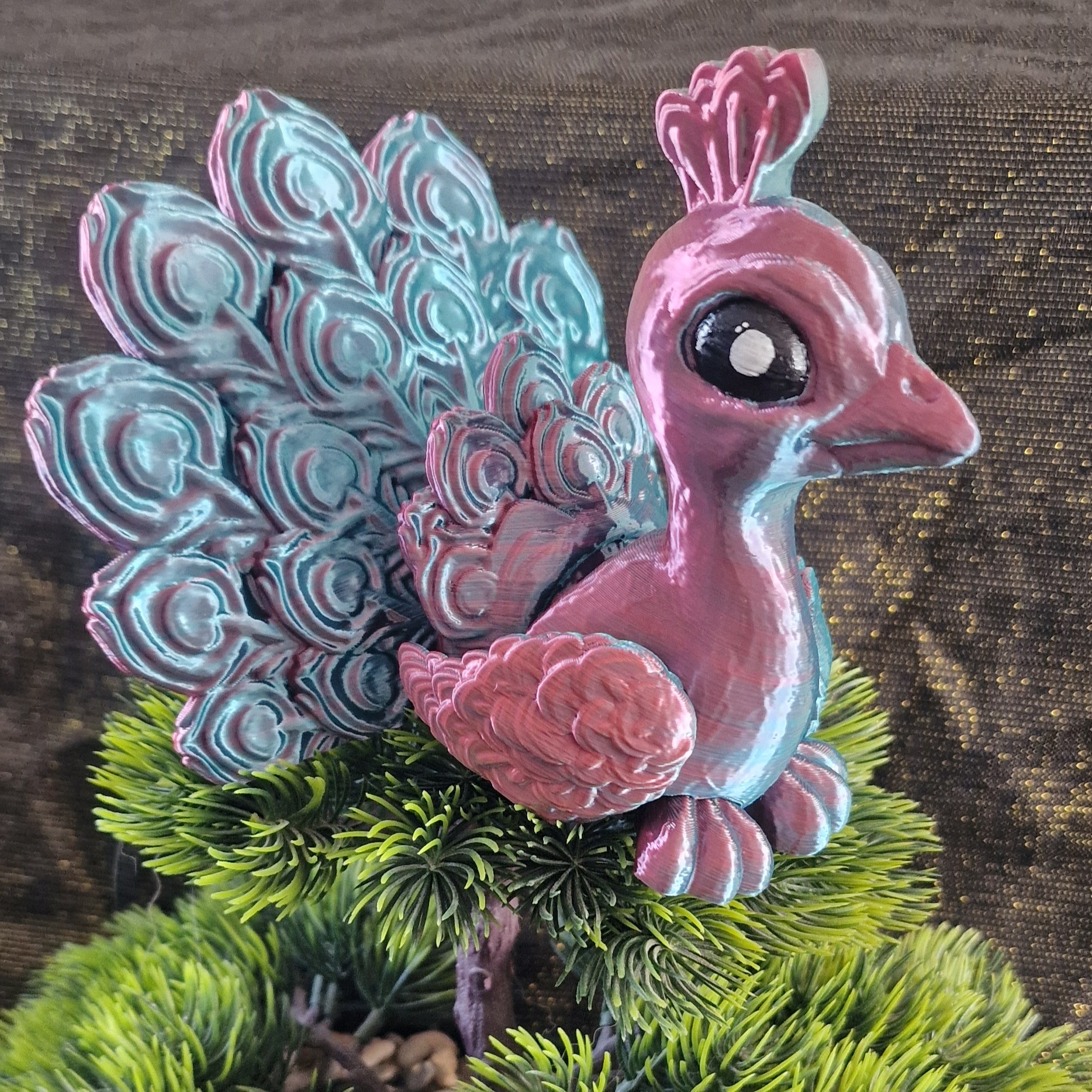 Bébé Paon