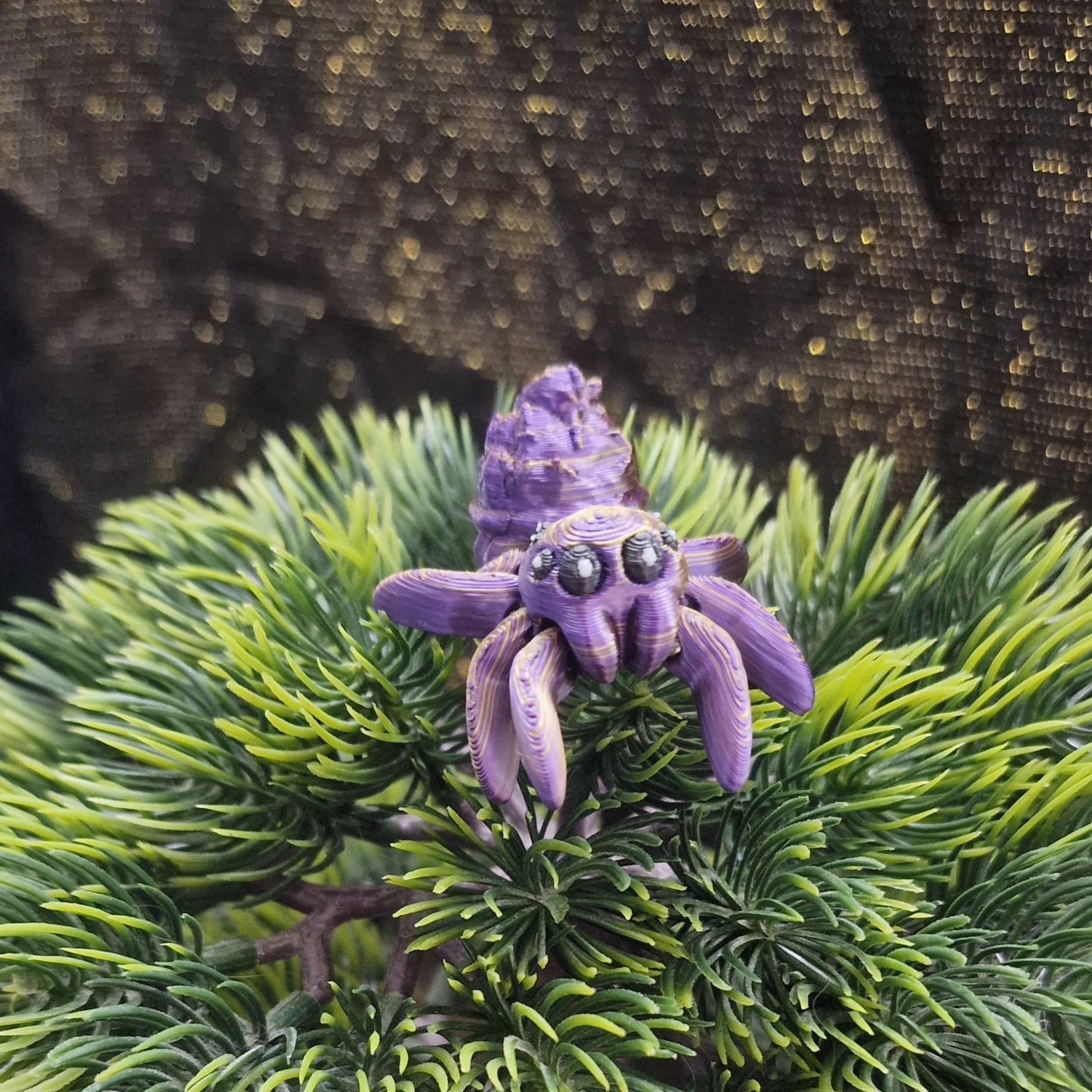 Petite Araignée Dessert