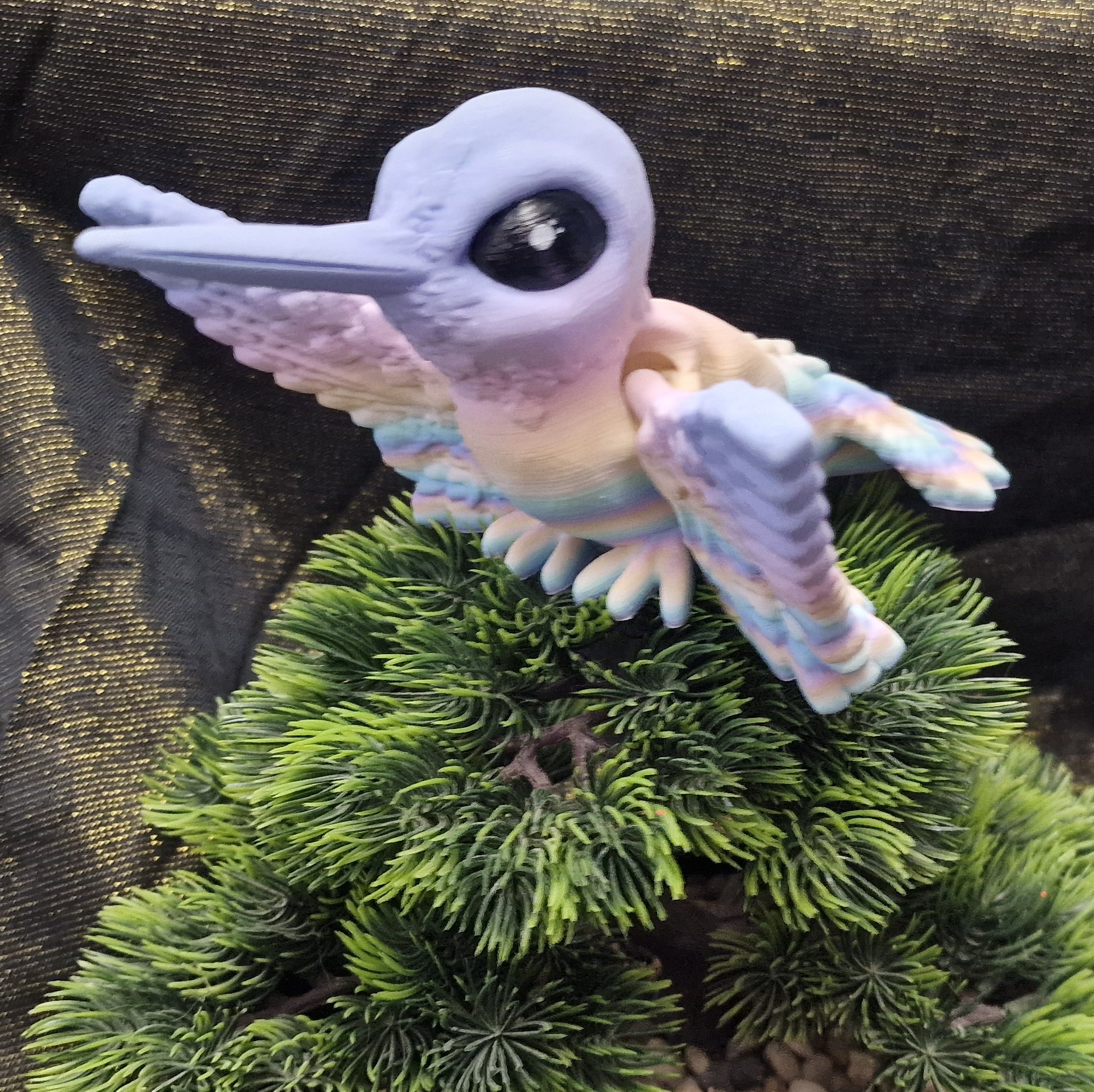 Bébé Colibri