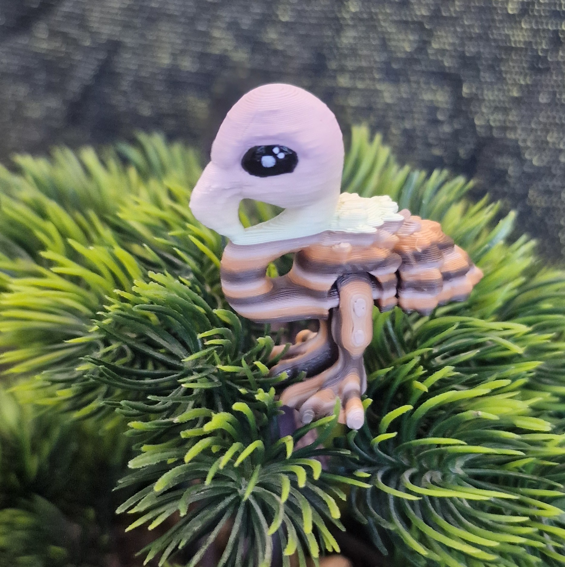 Nouveau-Né Flamand Rose