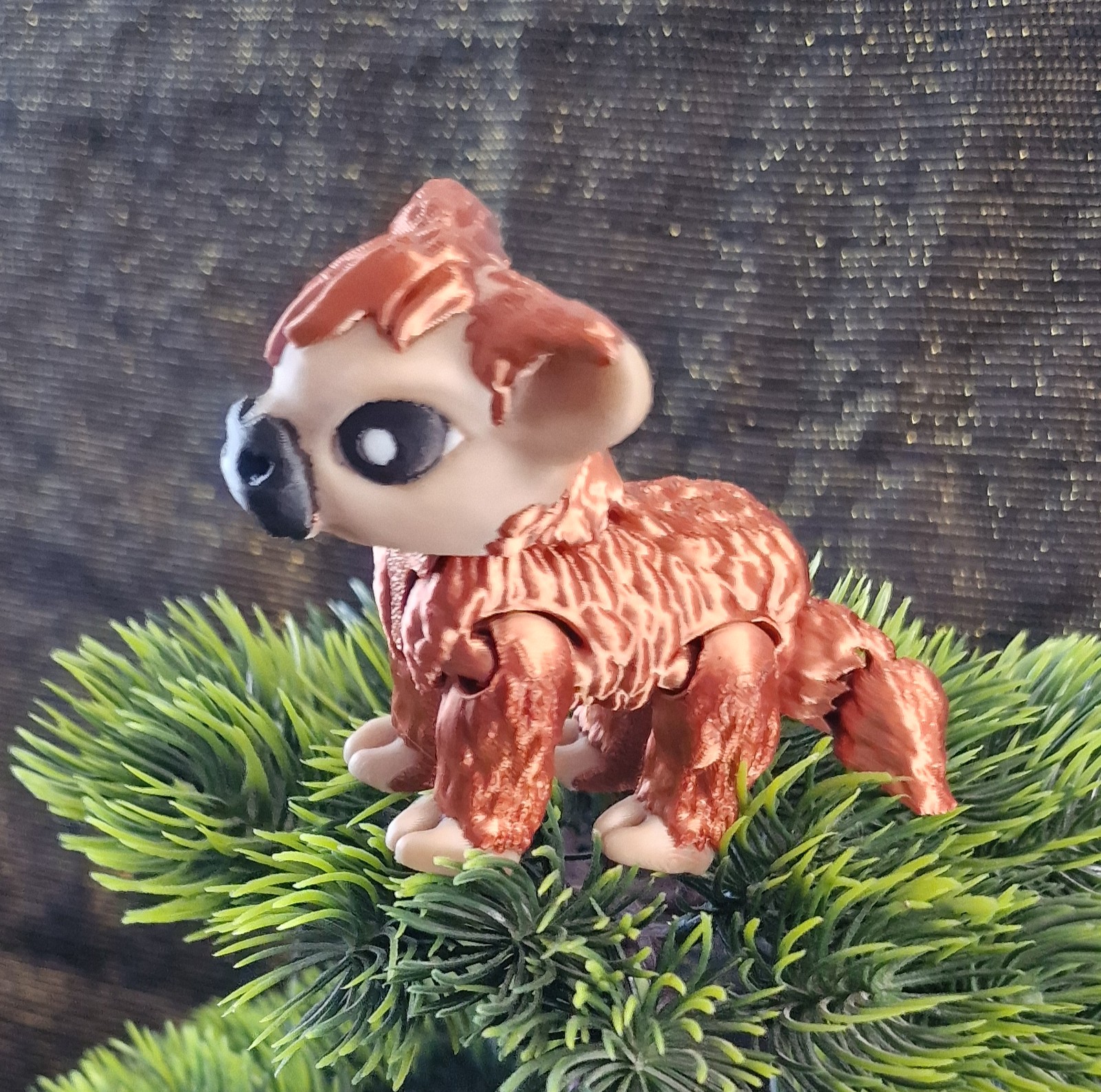 Bébé Highland