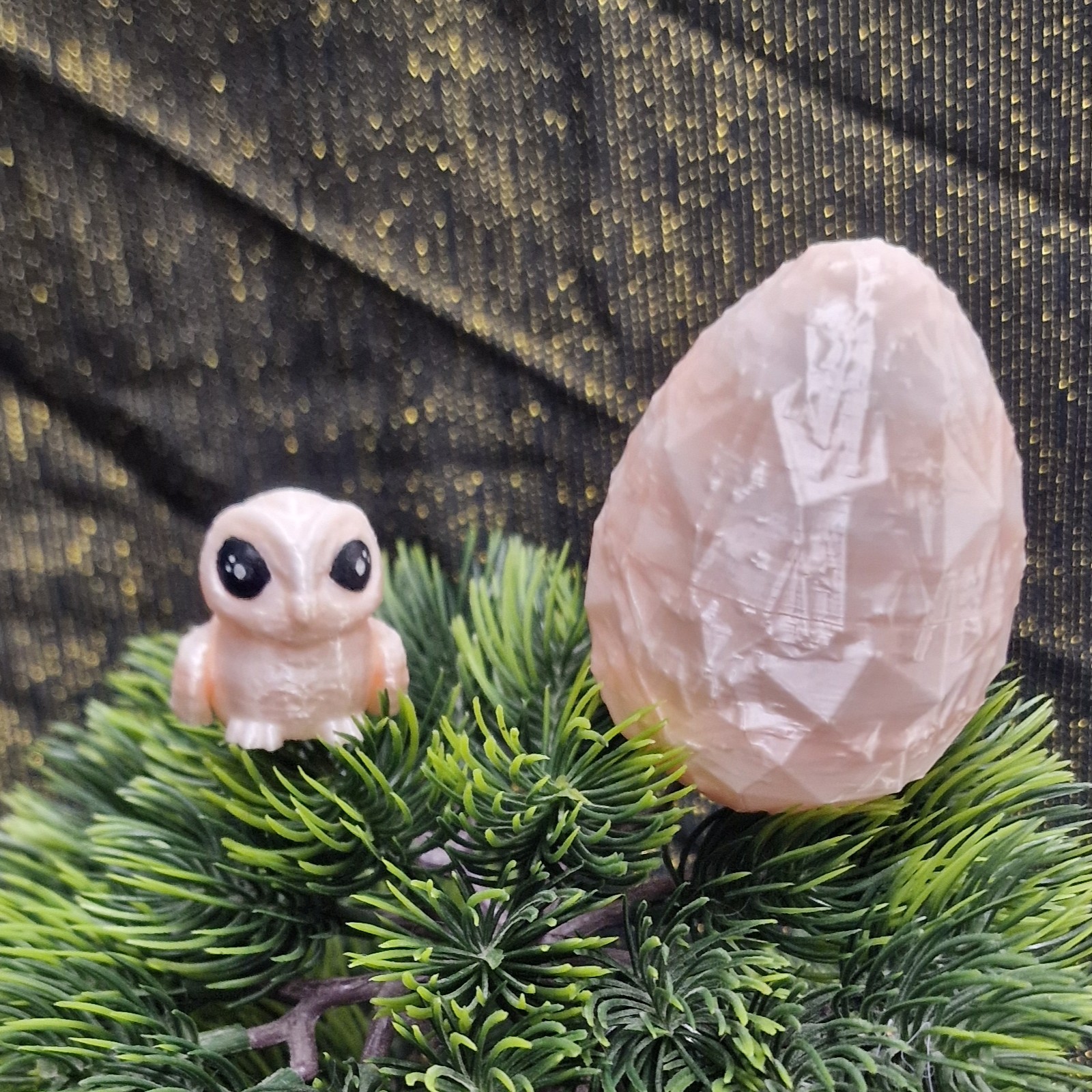 Nouveau-Né Chouette