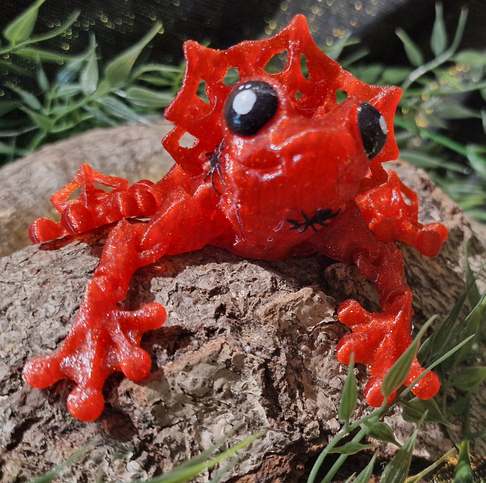 Grenouille Sorcière