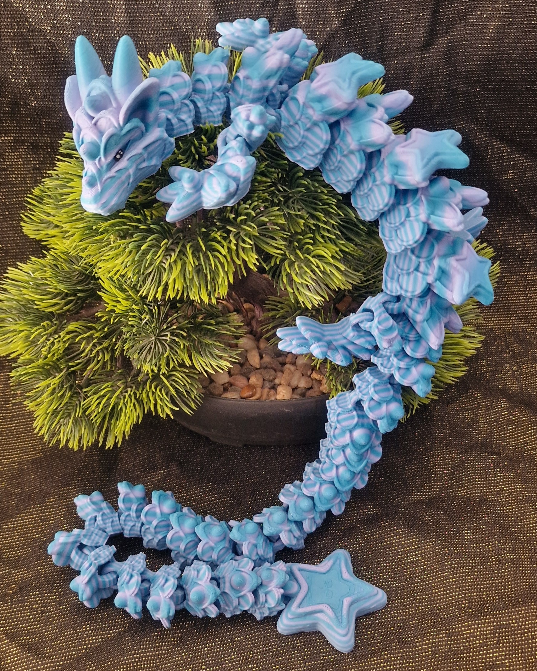 Dragon de Biscuit en Étoile