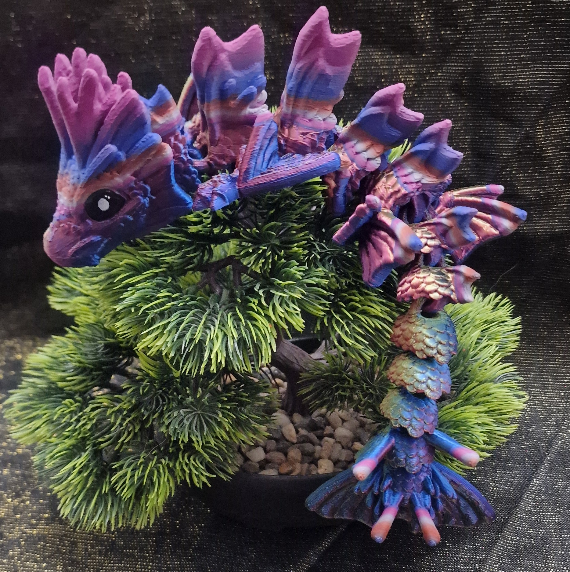 Bébé Dragon-Koï