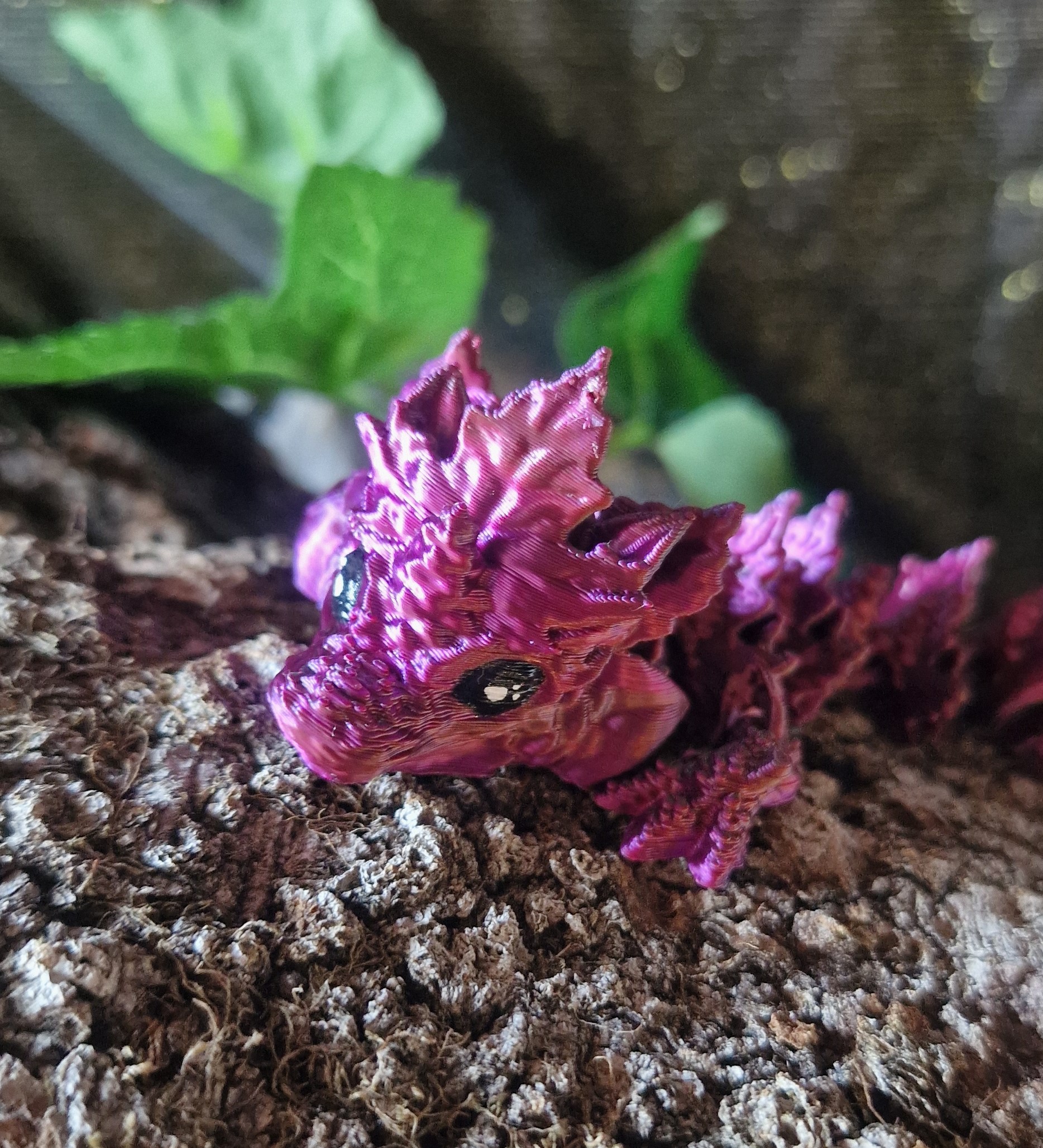 Bébé Dragon d'Automne feuillus