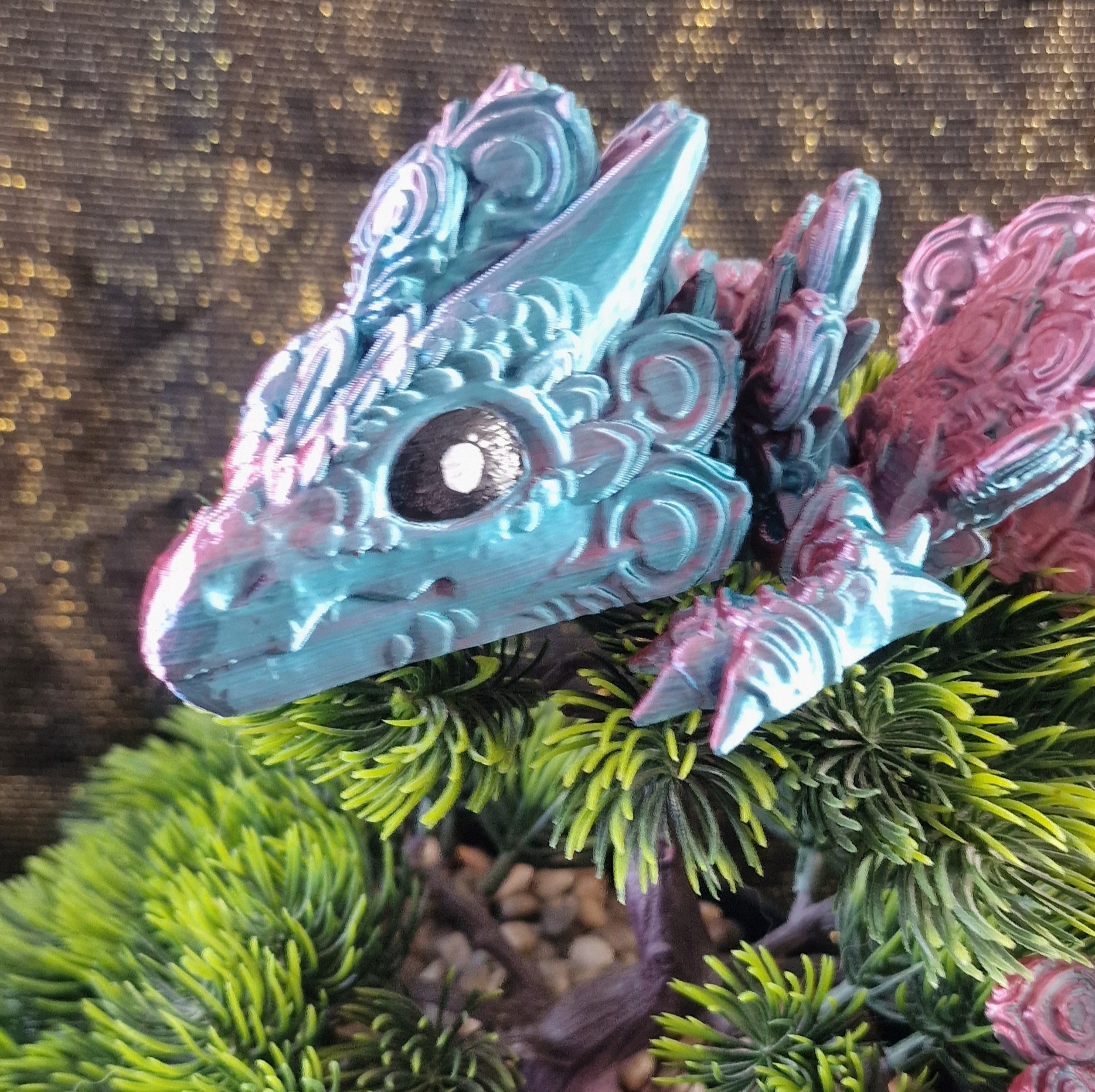 Bébé Dragon-Paon