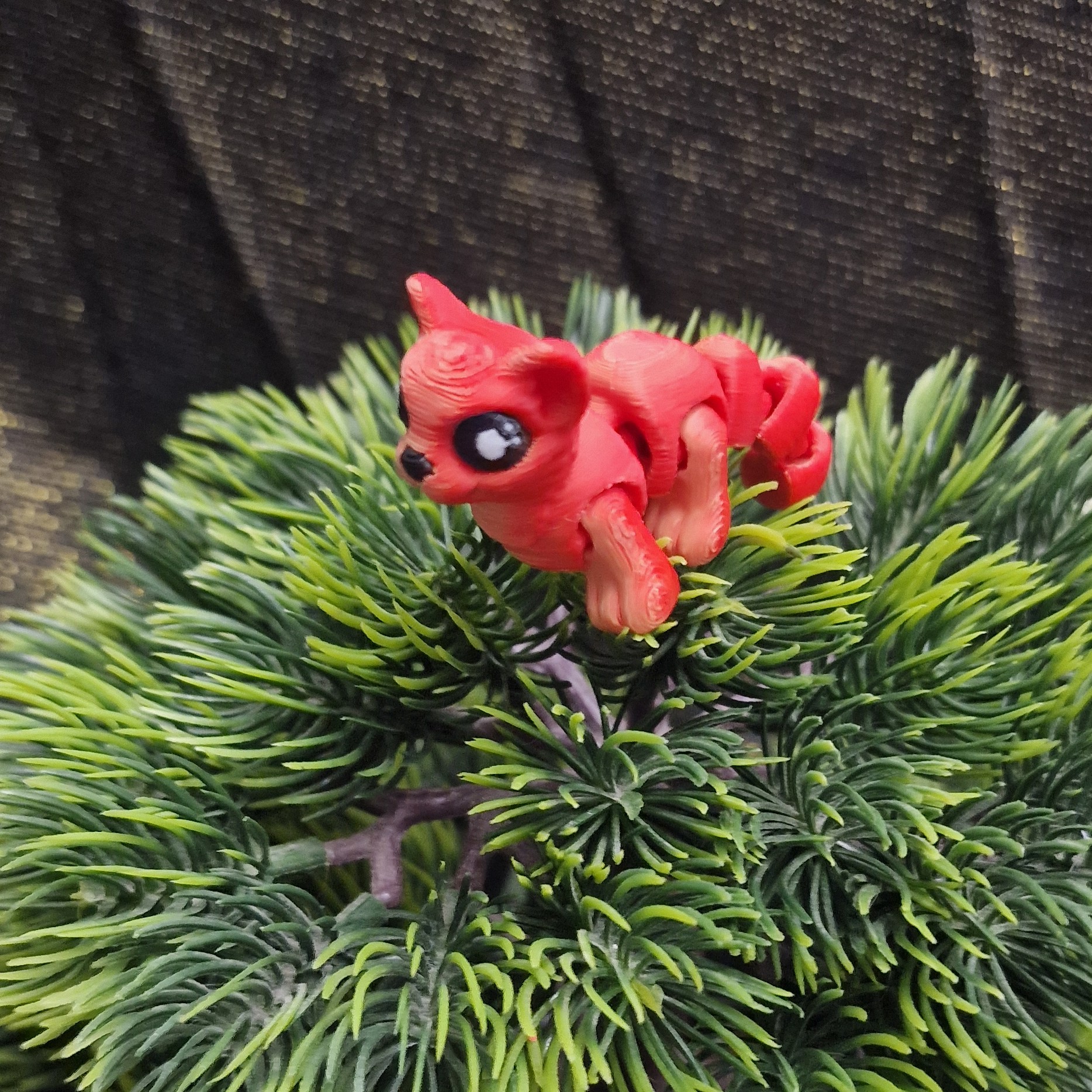 Nouveau-Né Leopard des Neiges