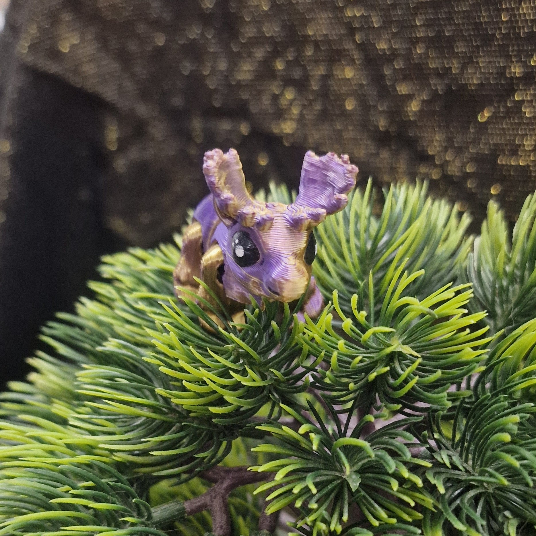 Nouveau-Né Elan Mâle