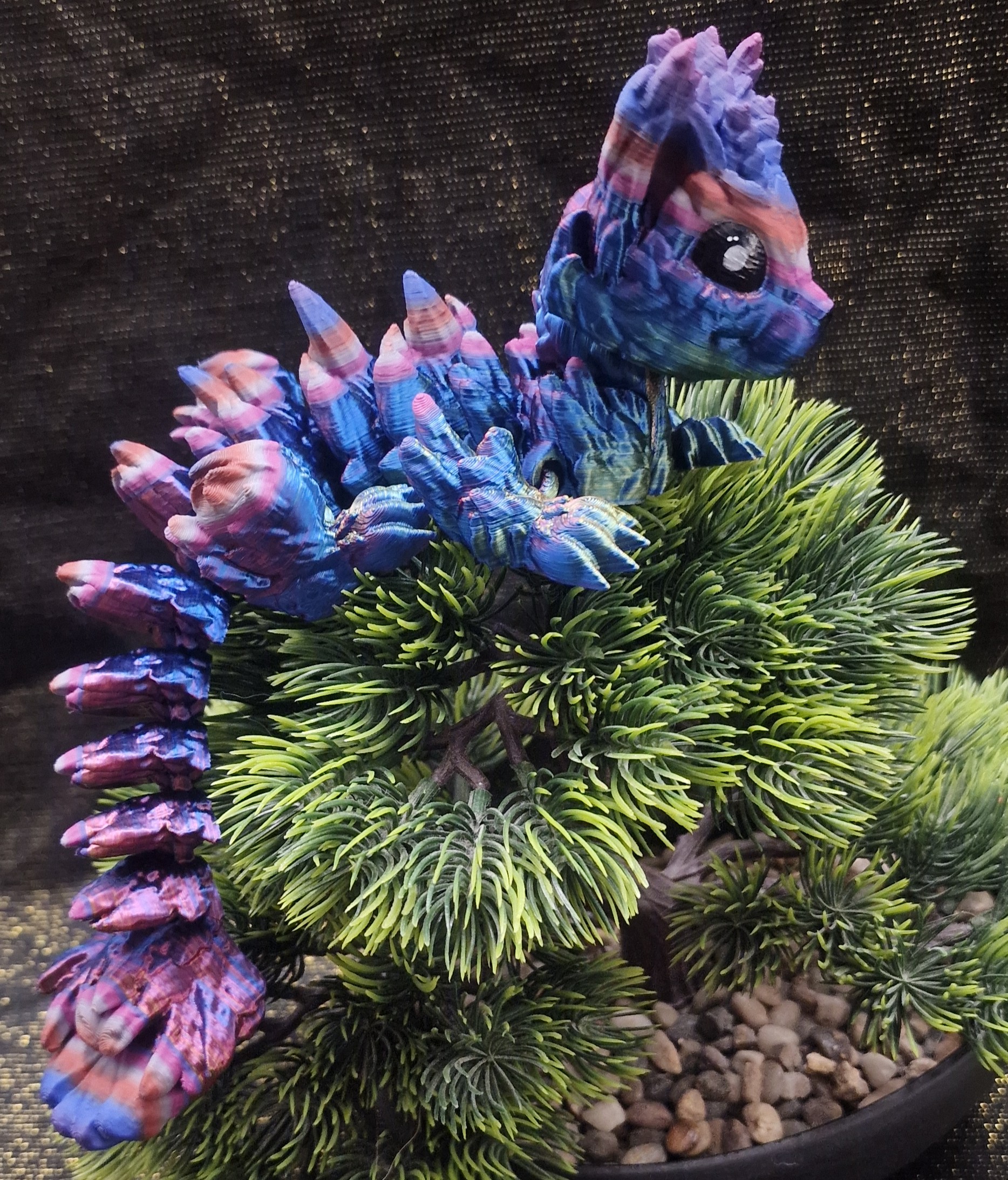 Bébé Dragon-Chat