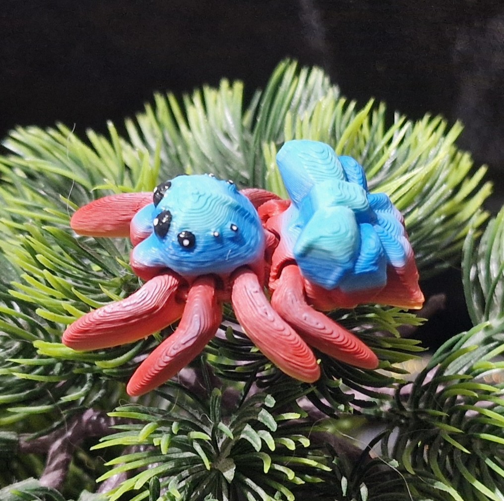 Petite araignée Nouée