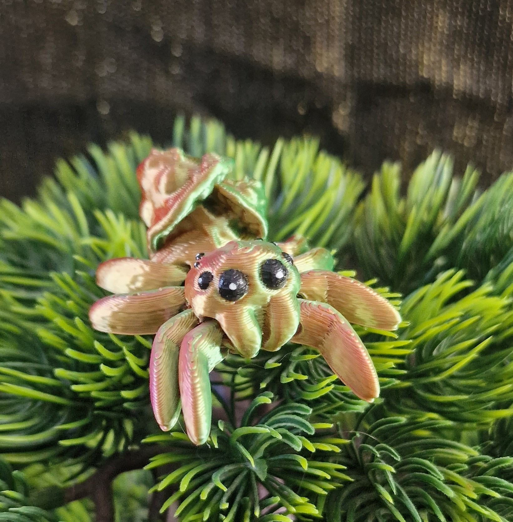 Petite Araignée de Champignons