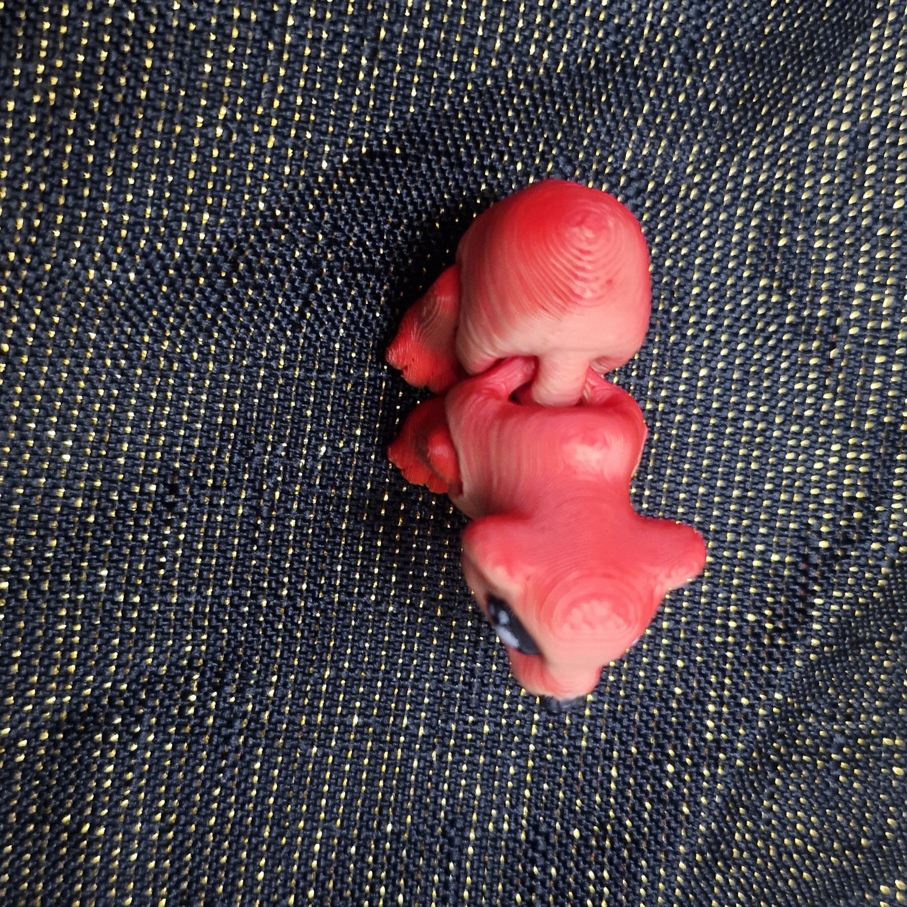 Nouveau-Né Ours Polaire