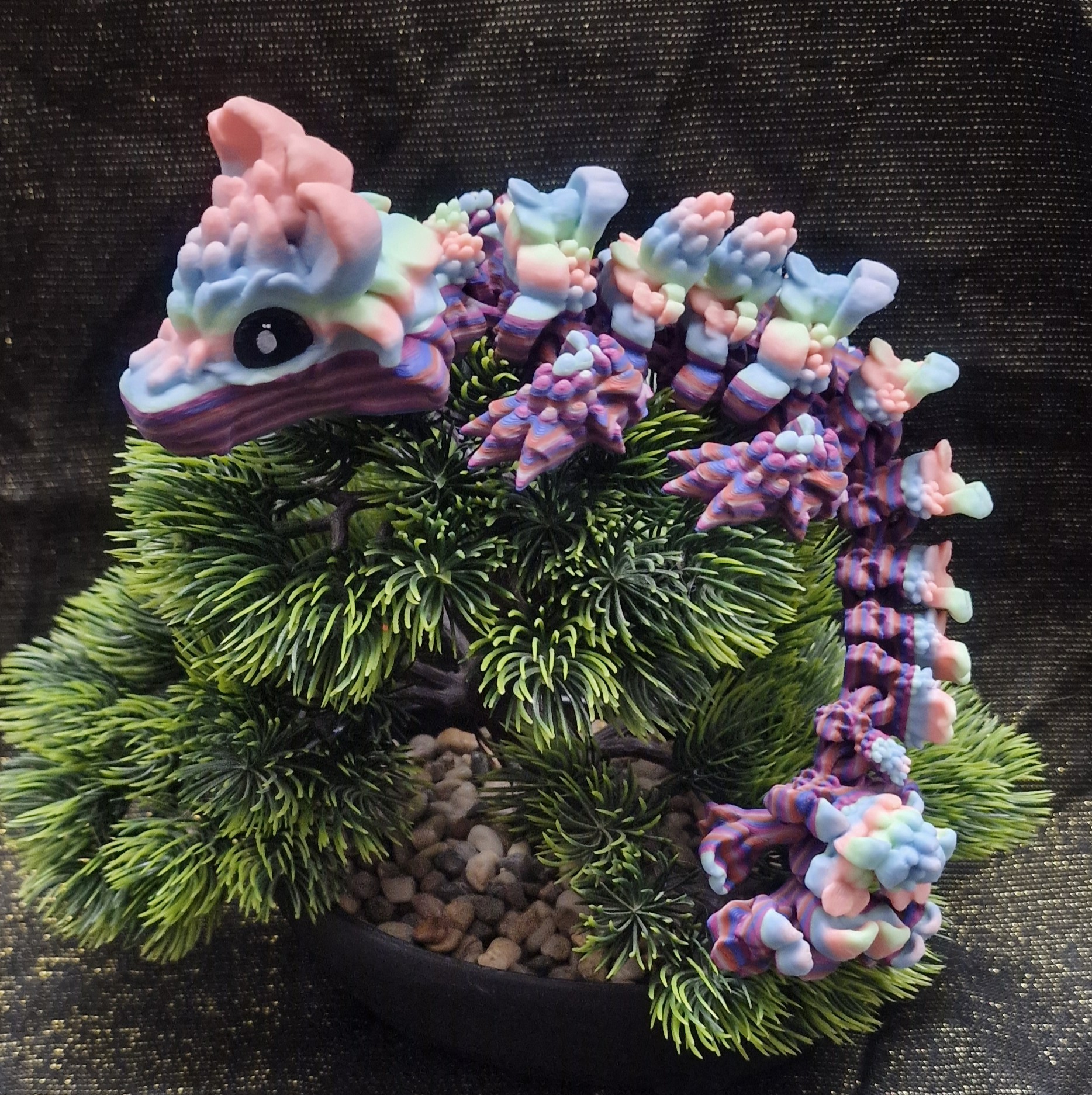 Bébé Dragon de Pollen