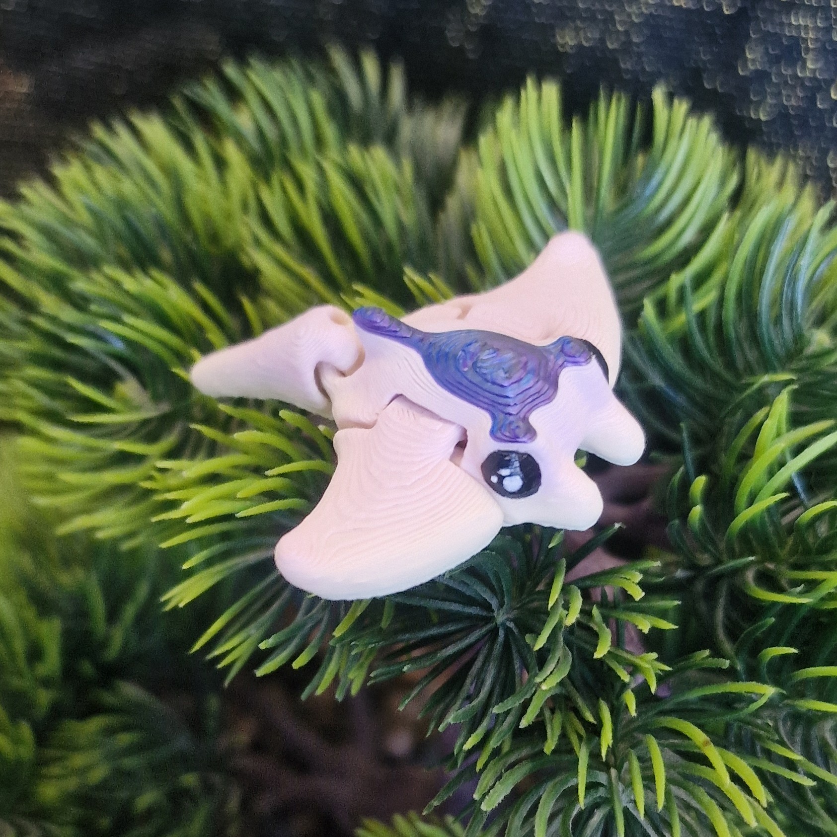 Nouveau-Né Raie Manta