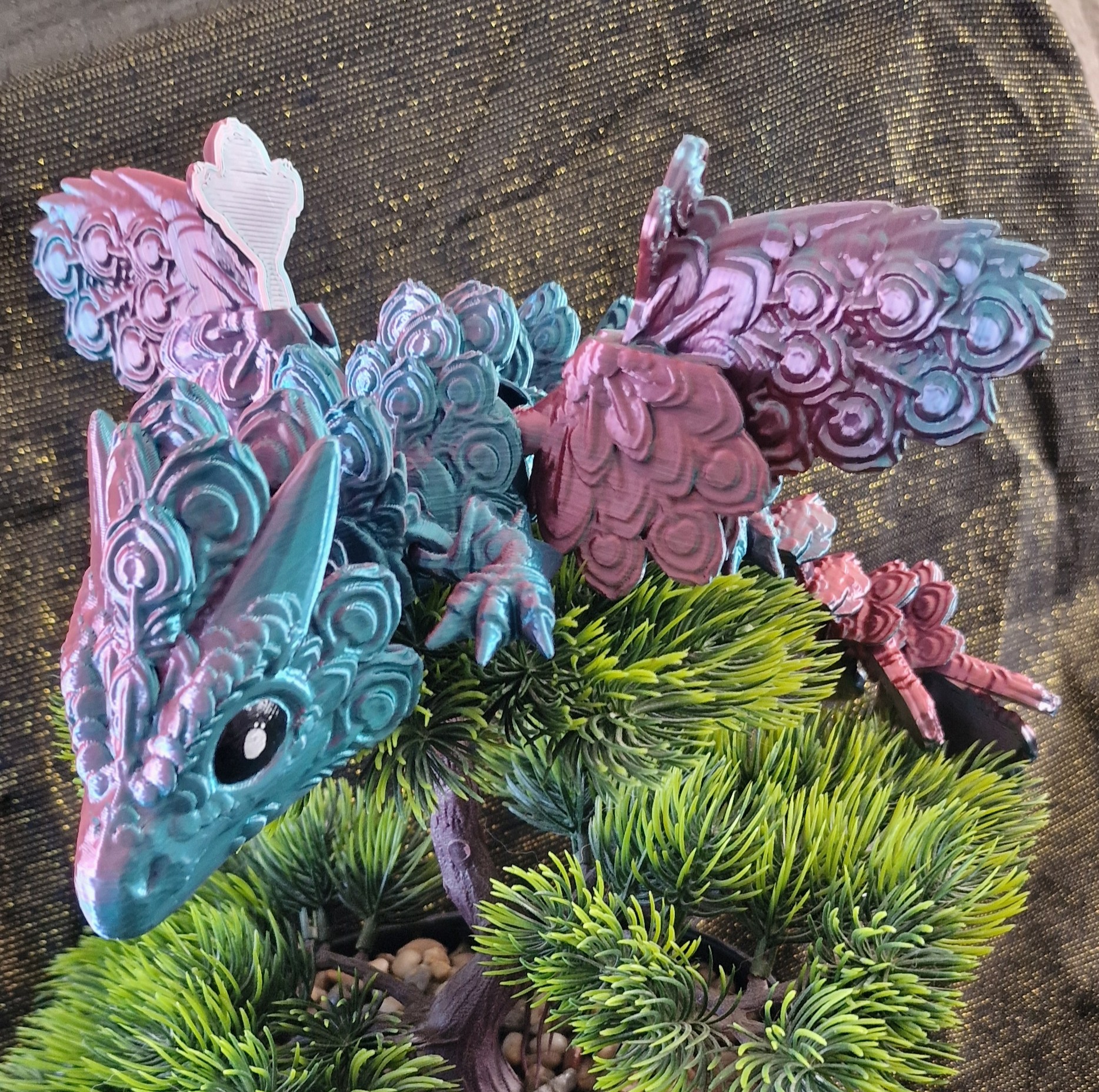 Bébé Dragon-Paon Ailé