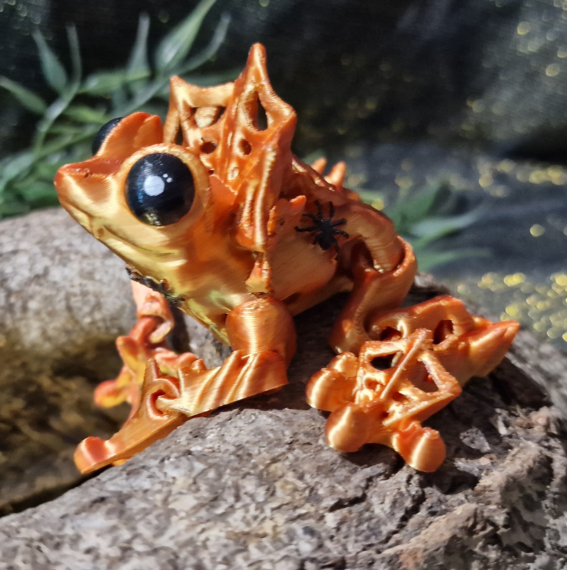 Grenouille Sorcière