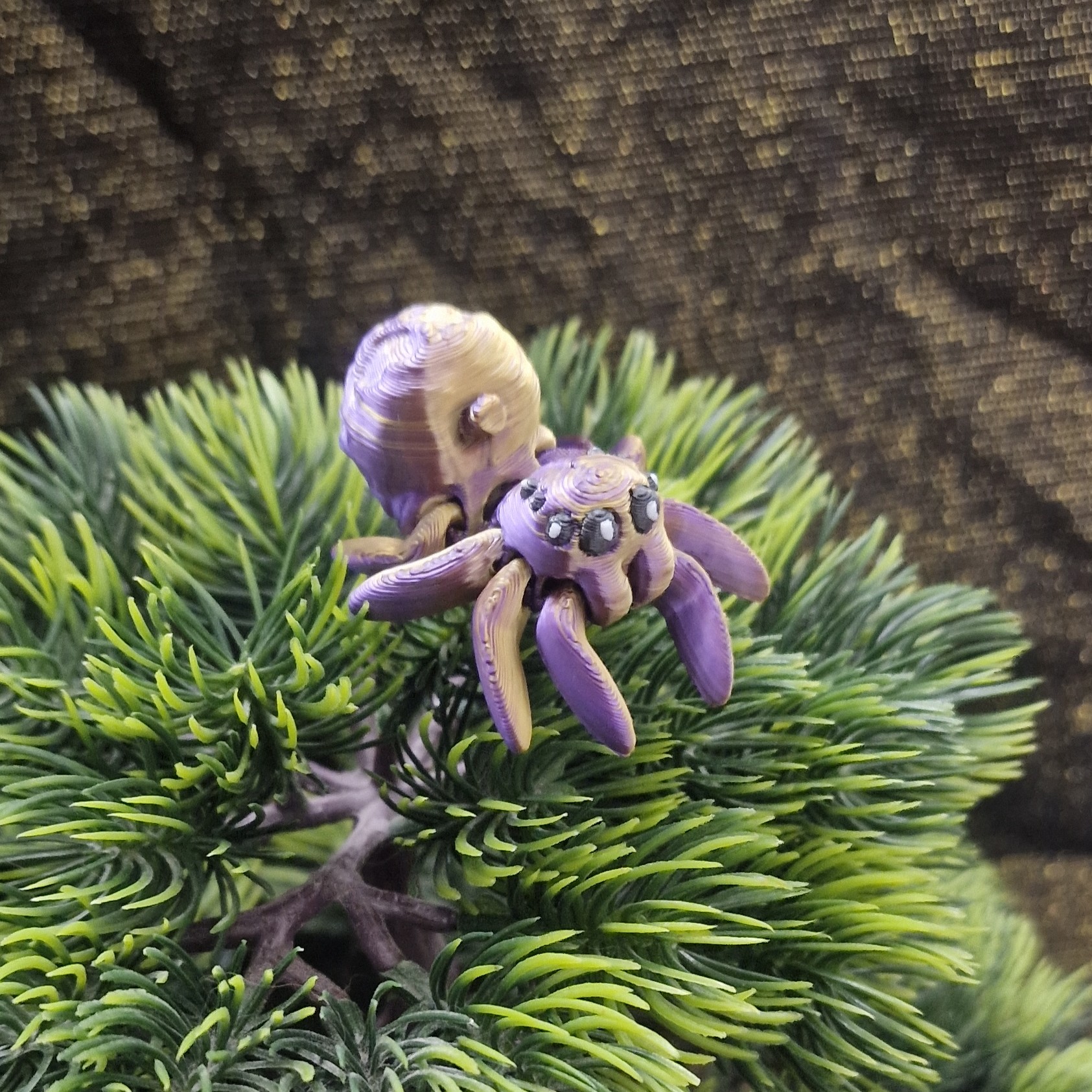 Petite Araignée en Pomme Empoisonnée