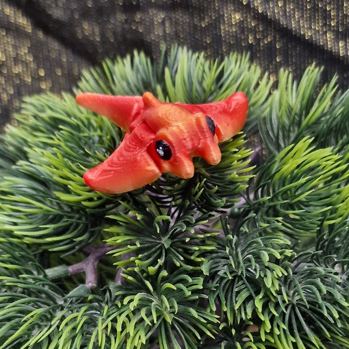 Nouveau-Né Raie Manta