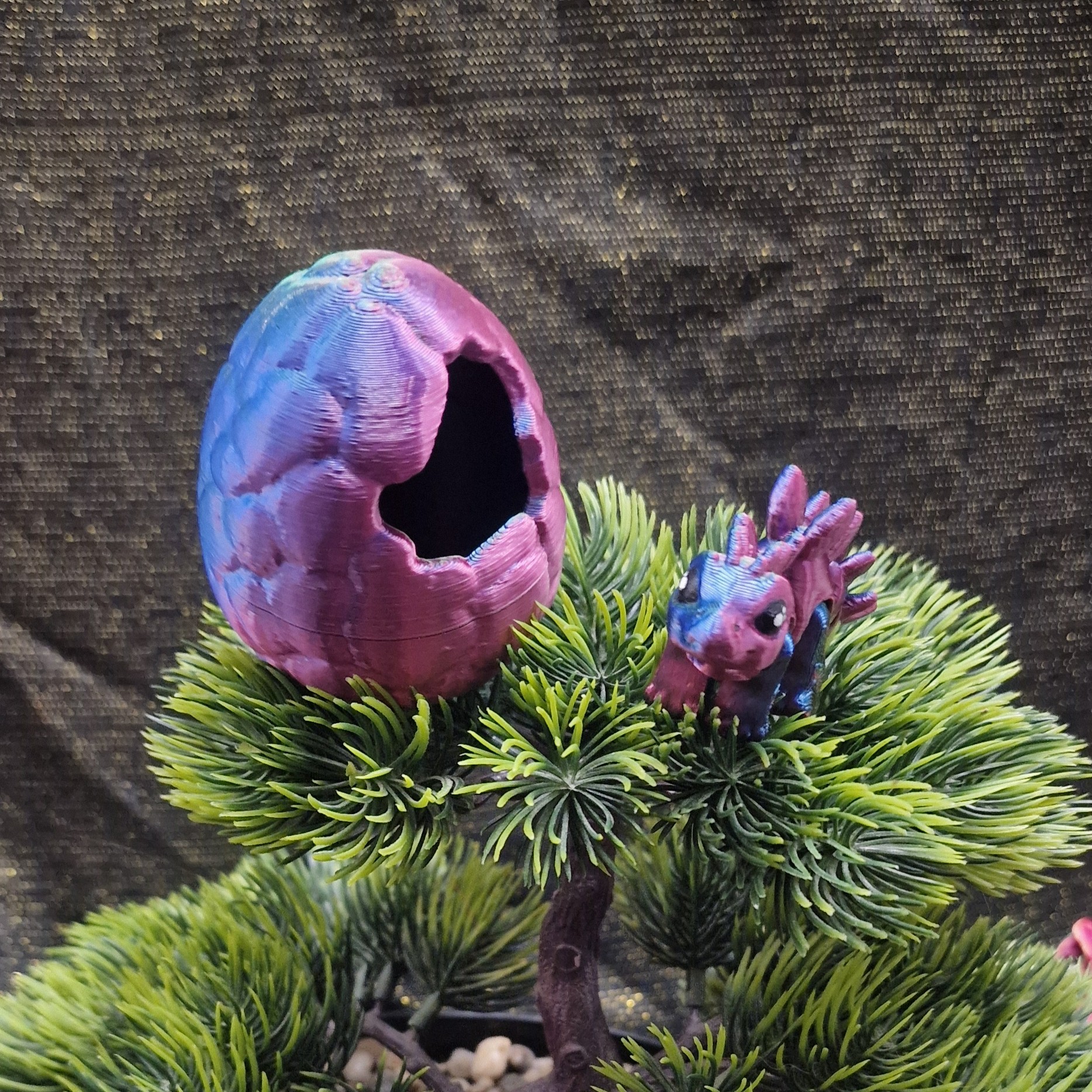 Nouveau-Né Stégosaure