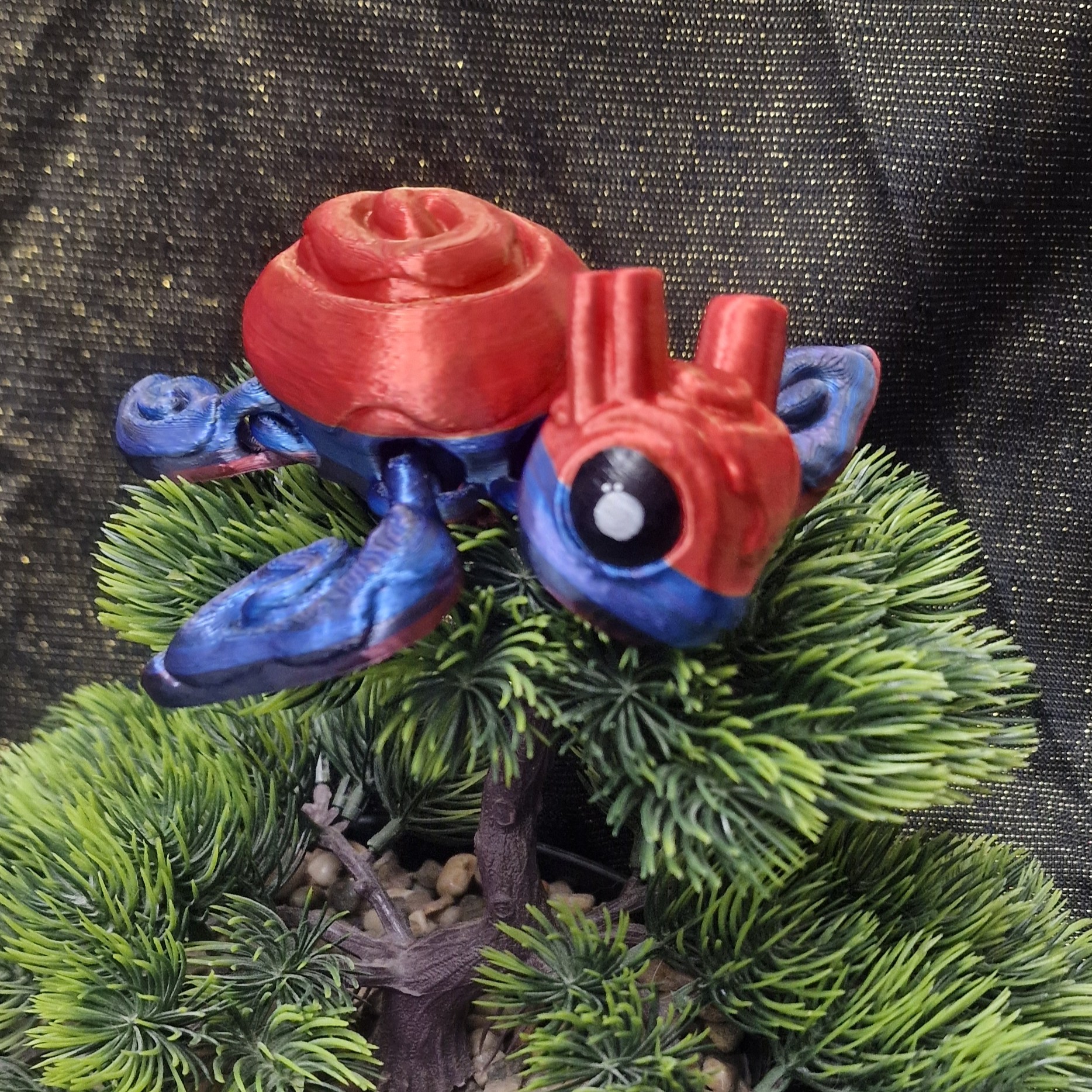 Tortue Tourbillon de Cannelle