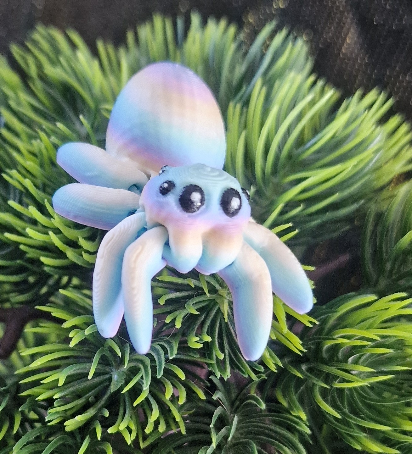 Petite Araignée Œuf