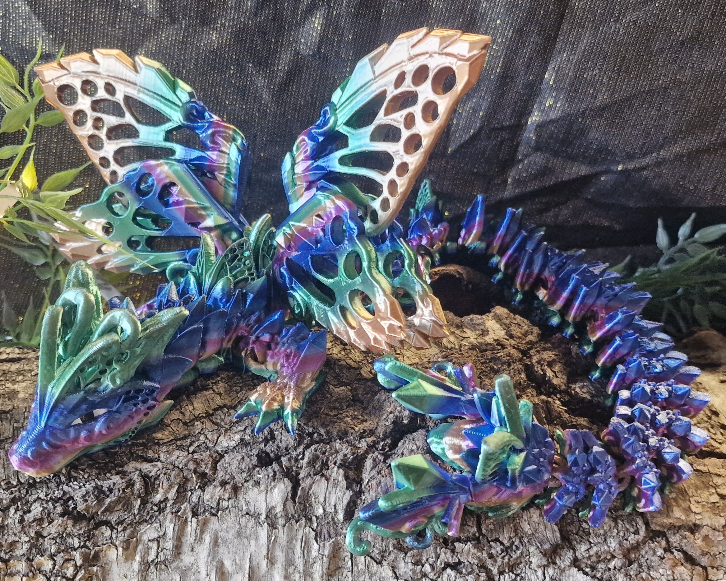 Dragon-papillon Ailé