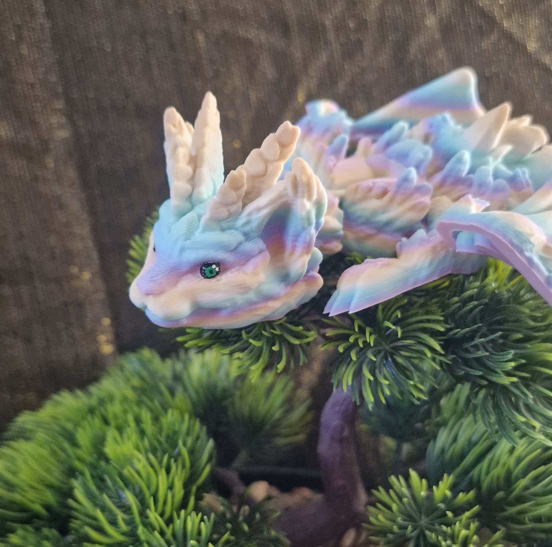 Dragon-Chat
