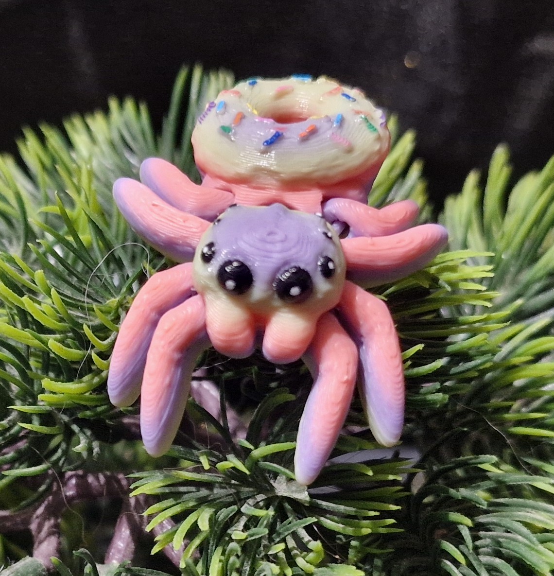 Petite Araignée de Donut