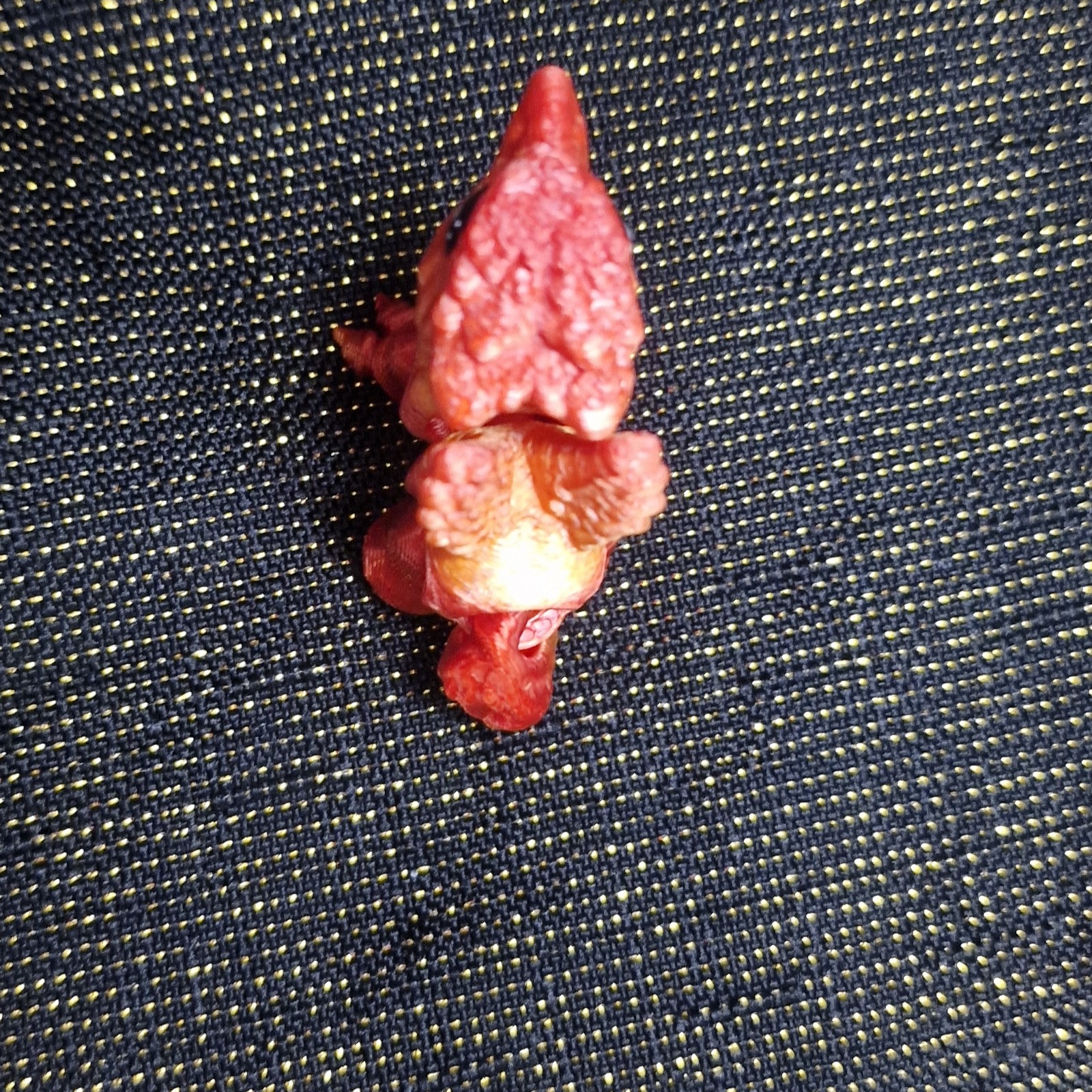 Nouveau-Né Hippogriffe