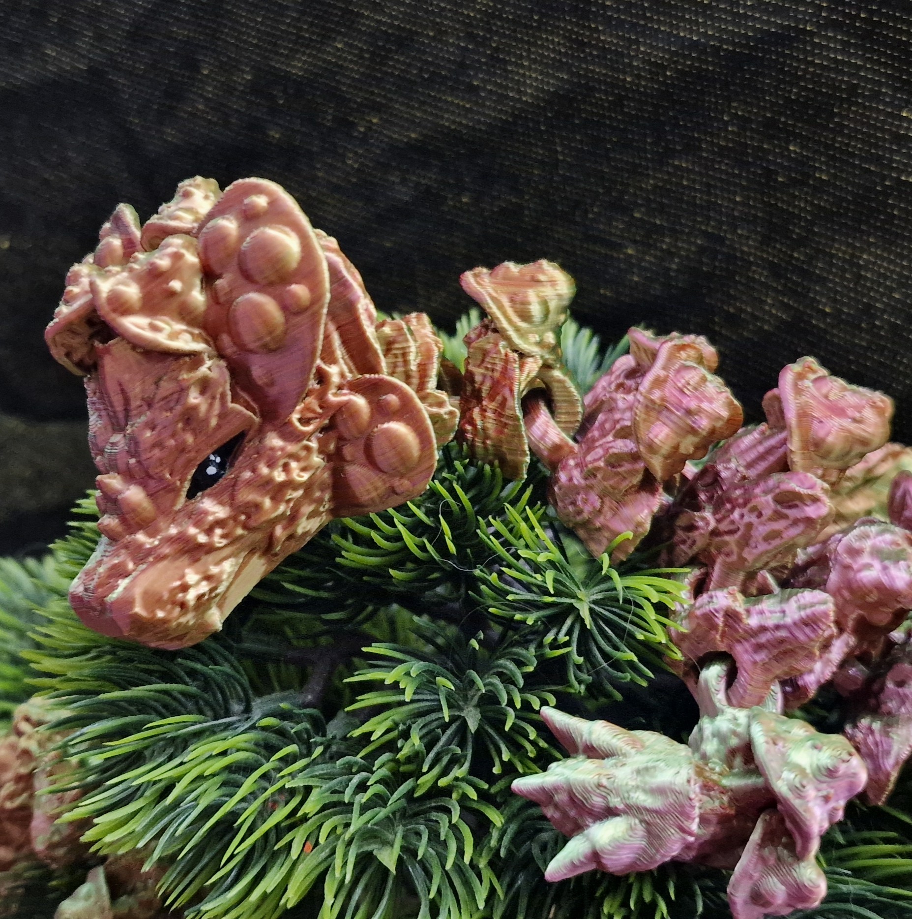 Dragon de Champignons Variant