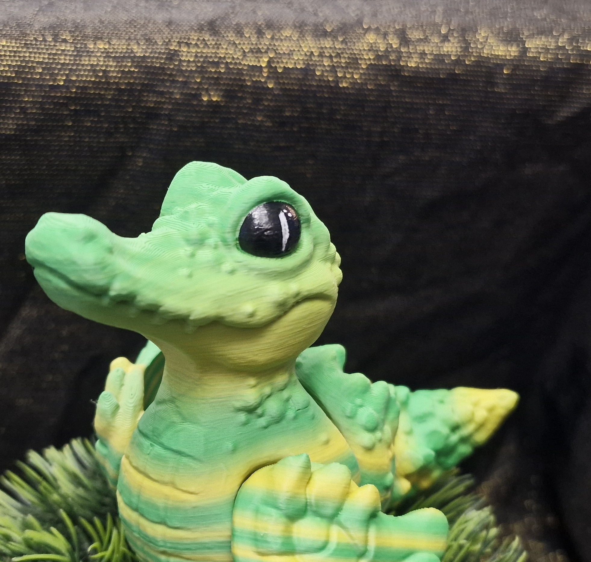 Coincodile