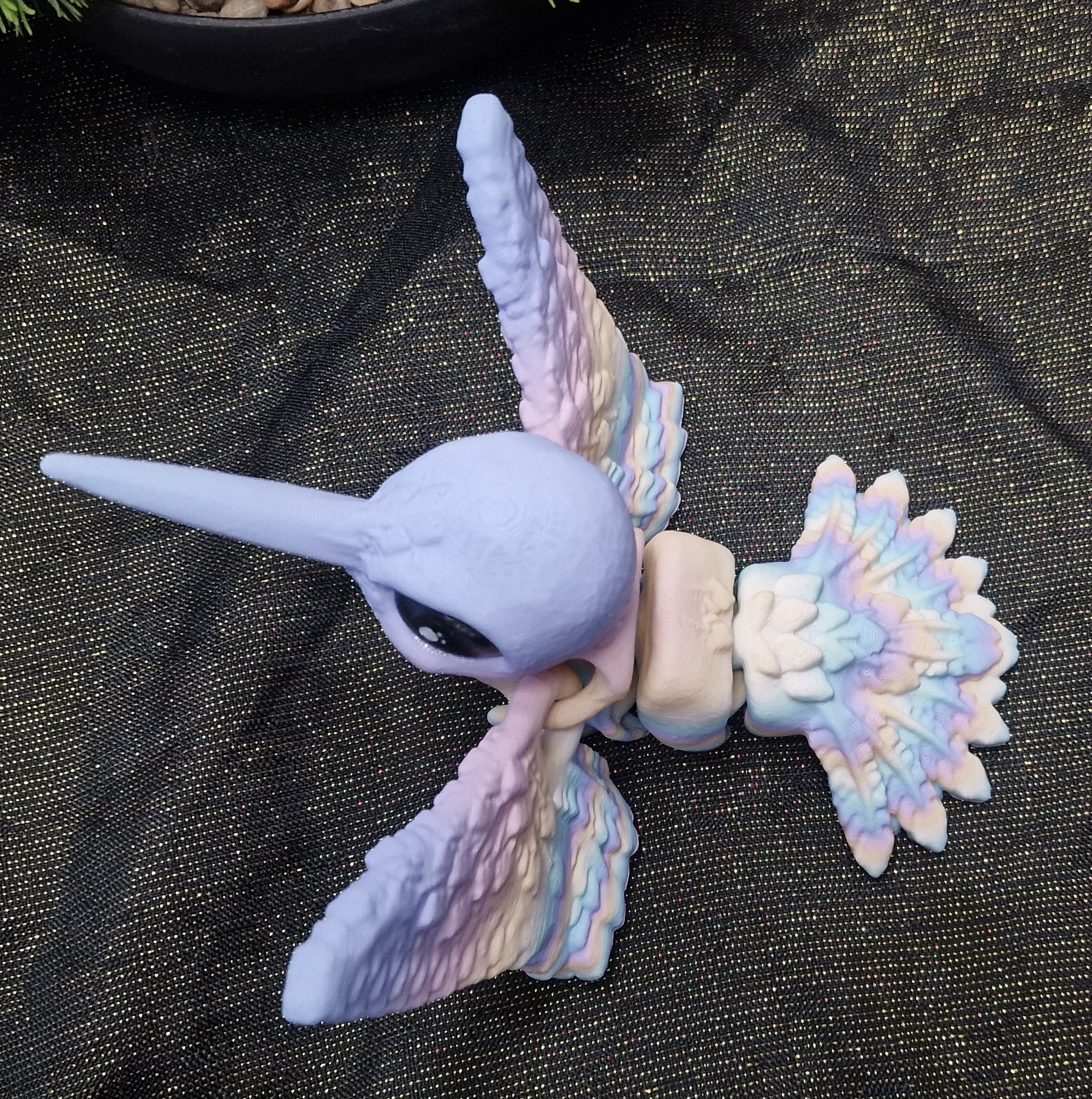 Bébé Colibri