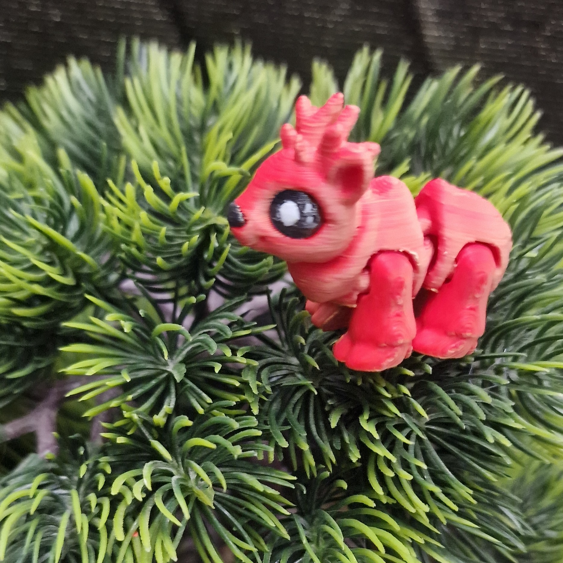 Nouveau-Né Renne Femelle