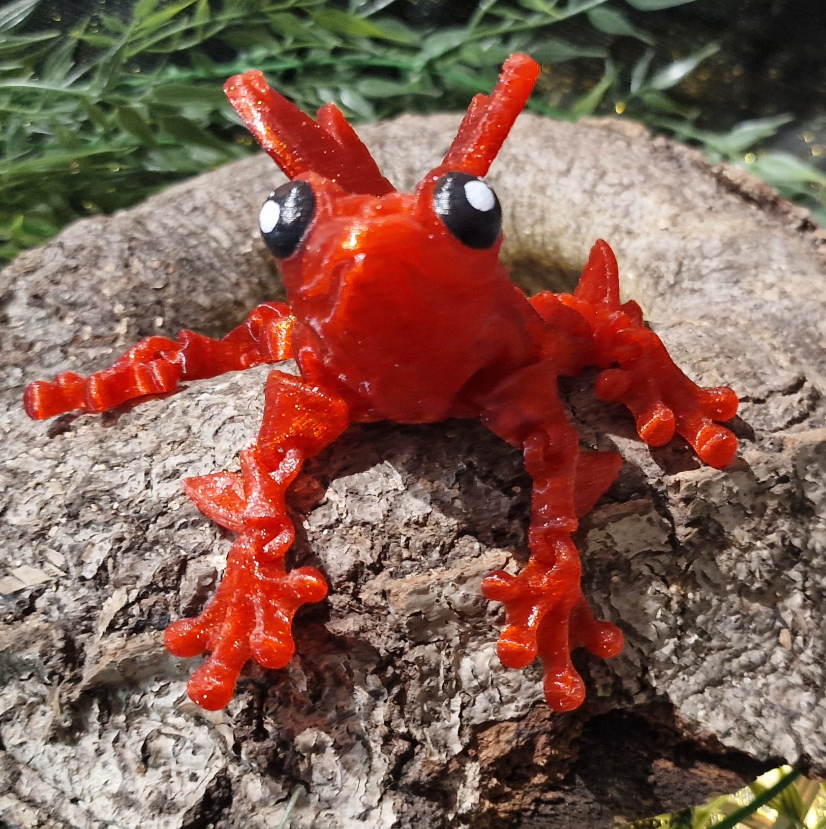 Grenouille Fée