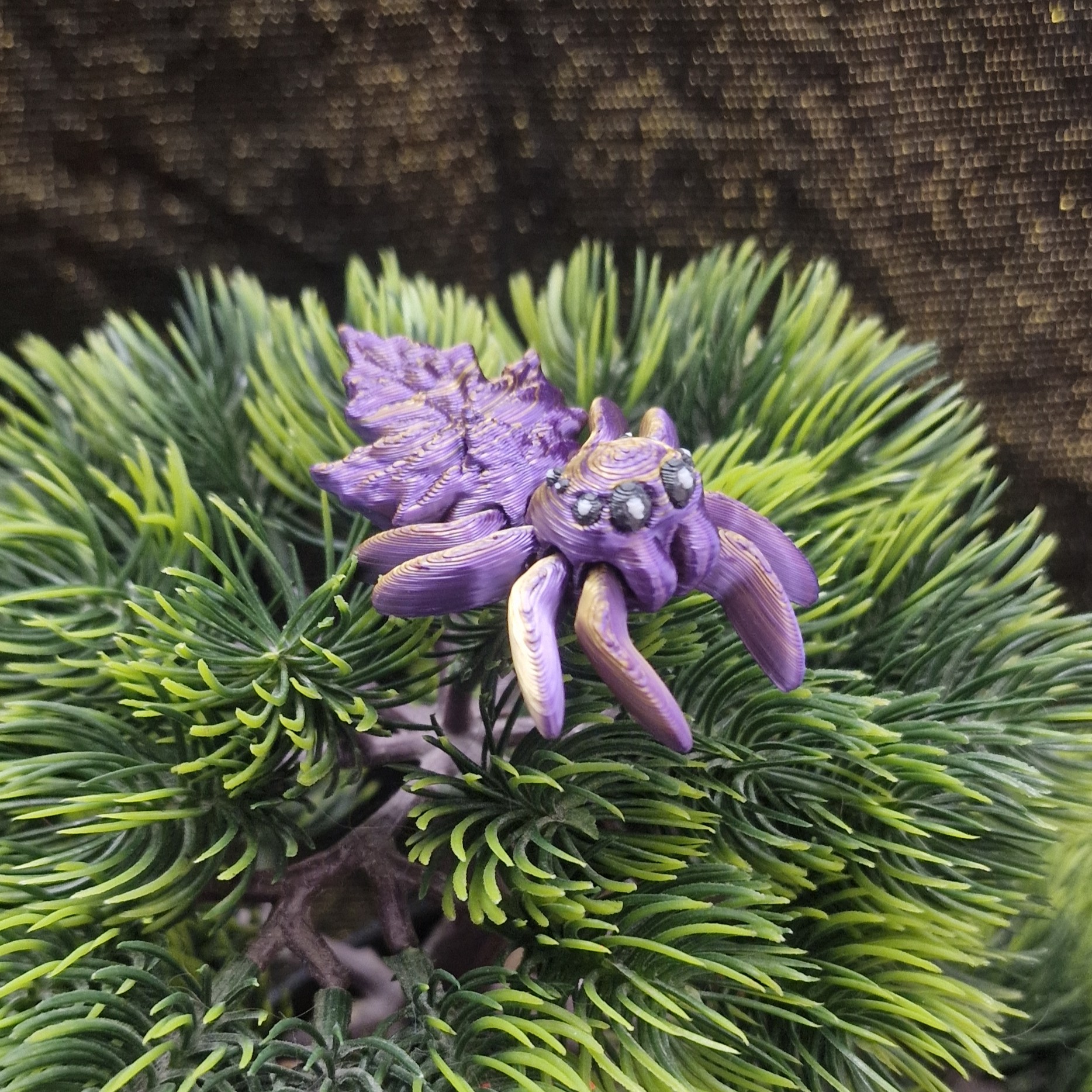 Petite Araignée Pomme de Pin