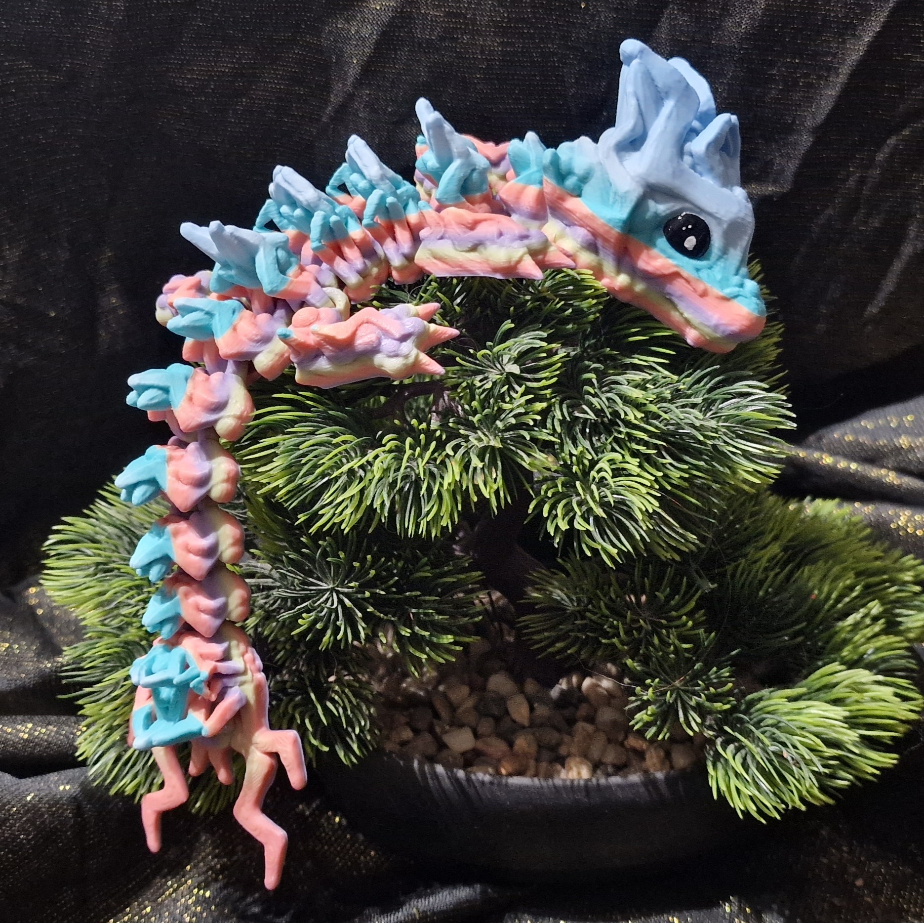 Bébé Dragon de Tempête