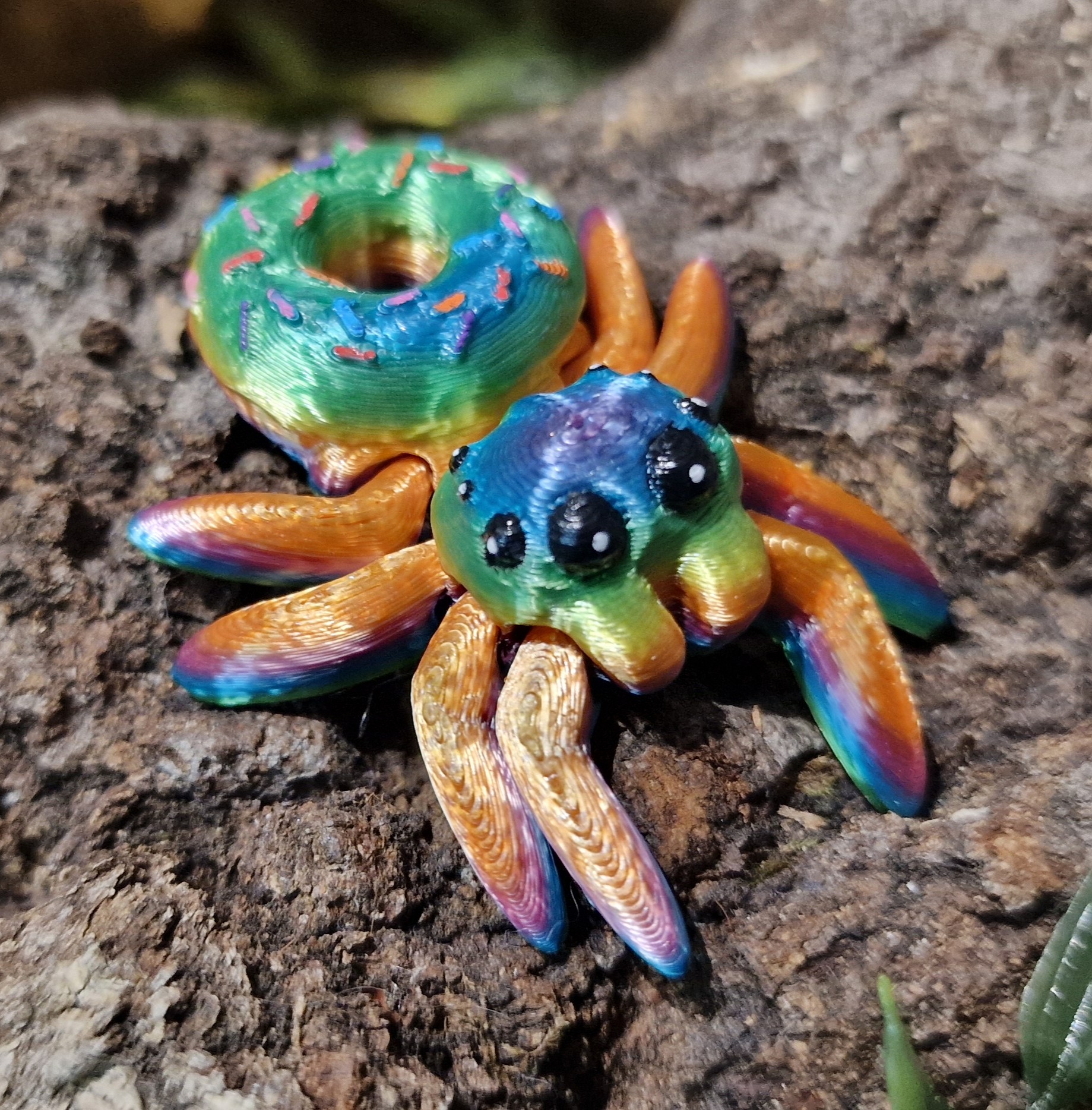 Petite Araignée de Donut