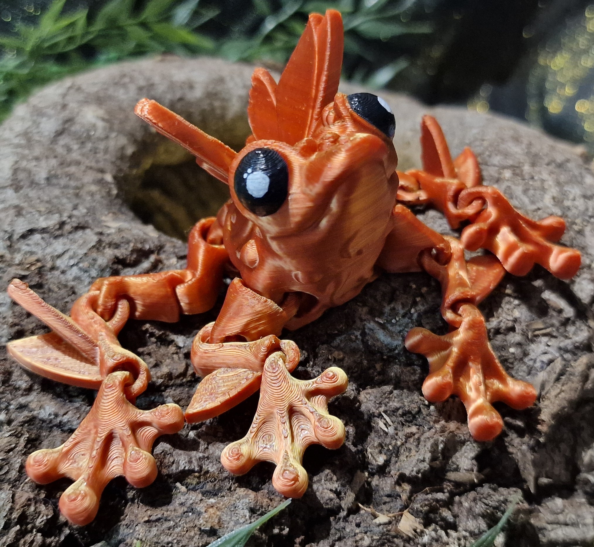 Grenouille Fée