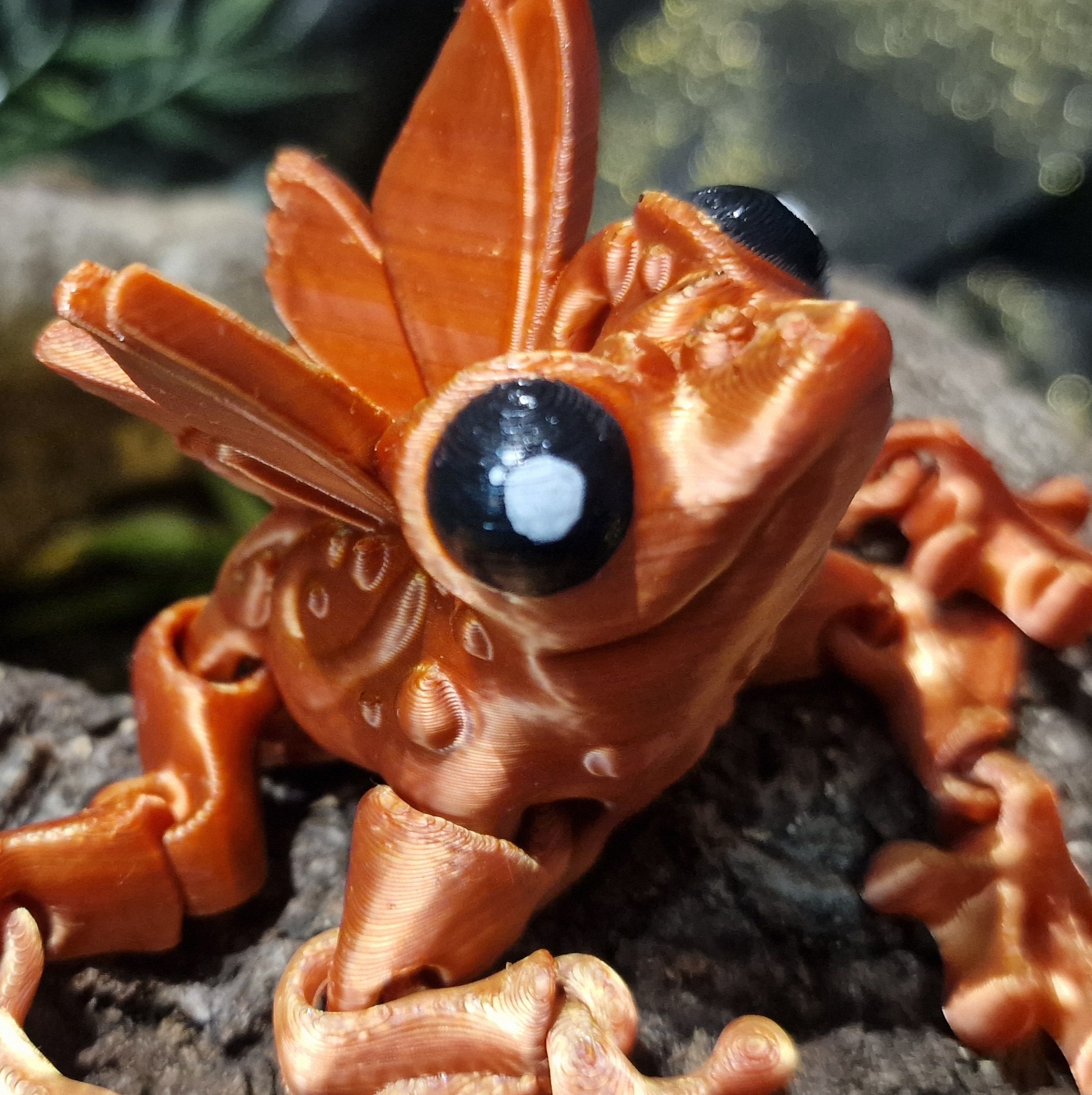 Grenouille Fée