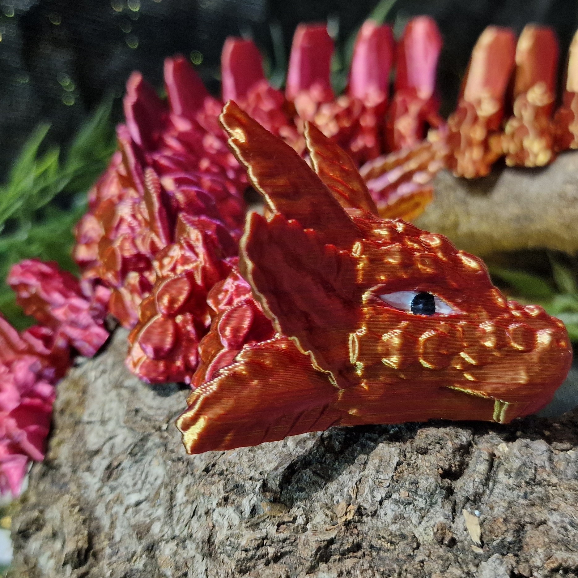 Dragon-Axolotl