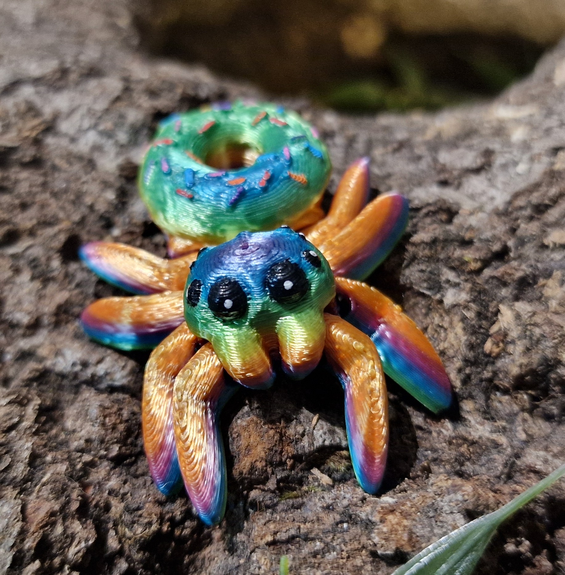Petite Araignée de Donut