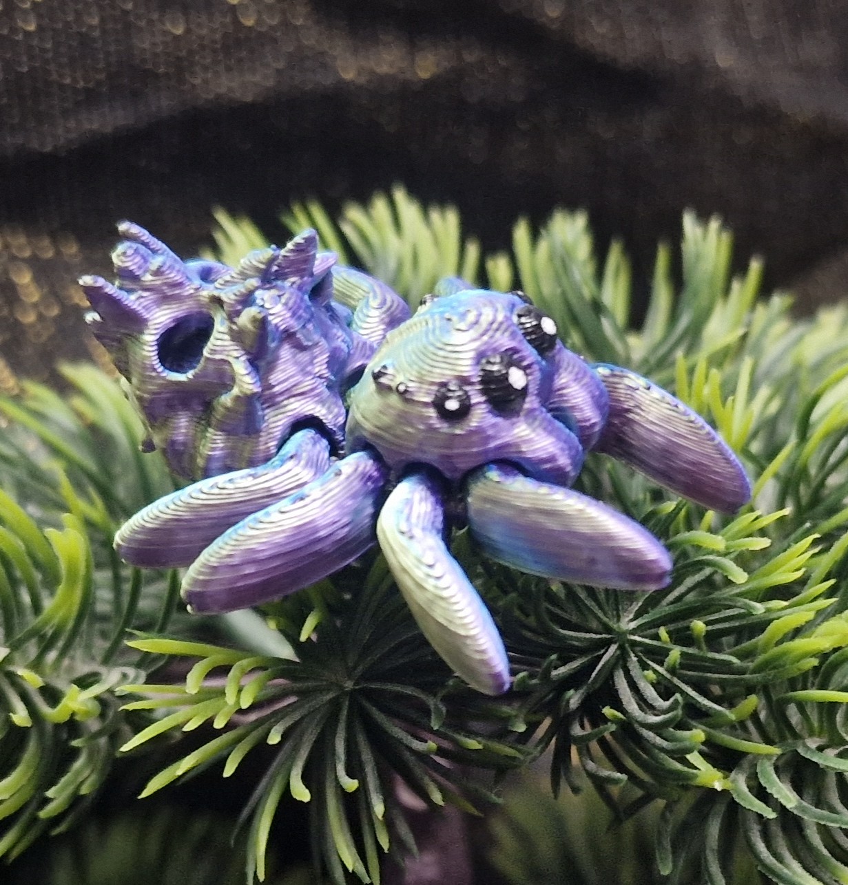 Petite Araignée Tête de mort