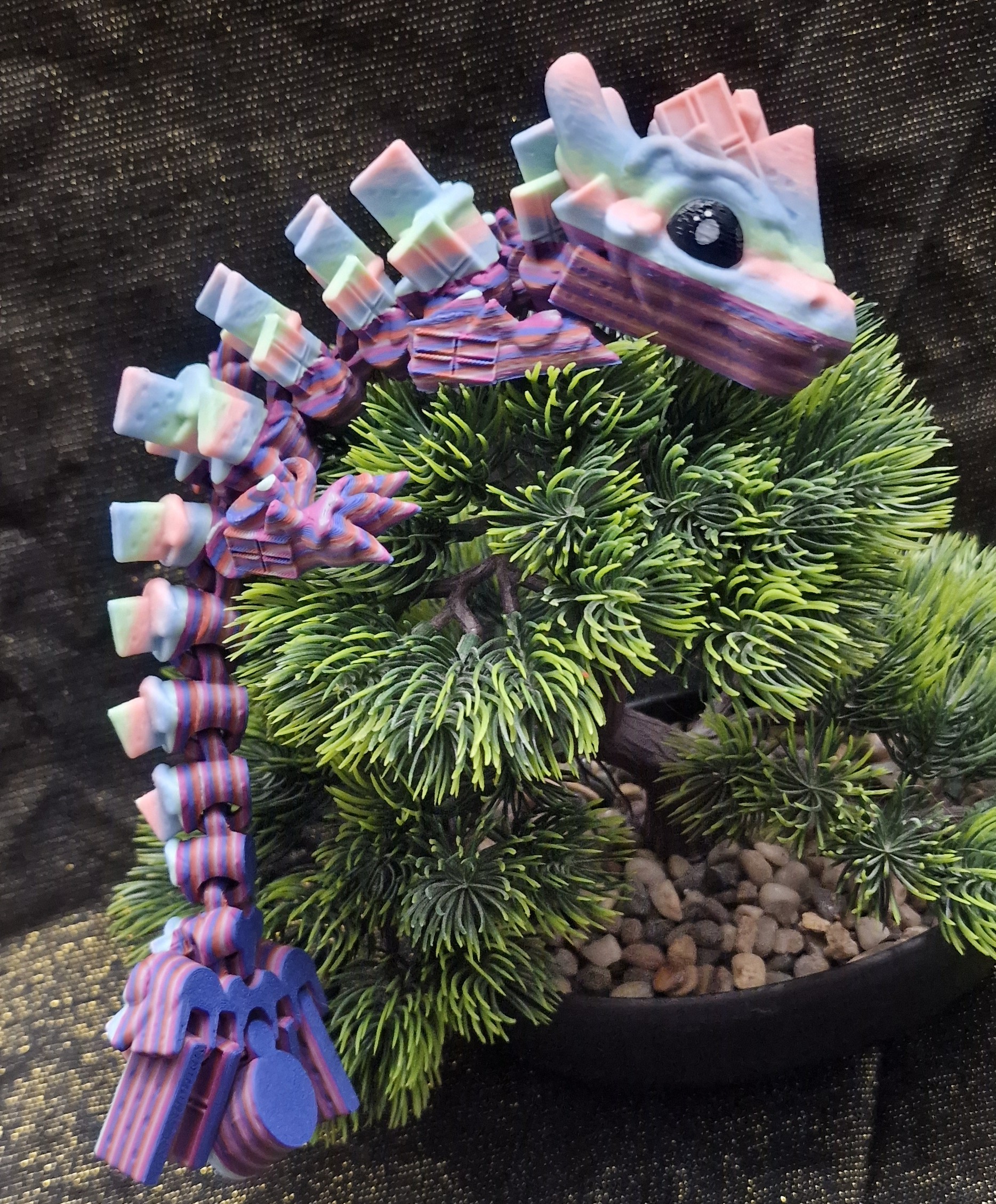 Bébé Dragon de Smores