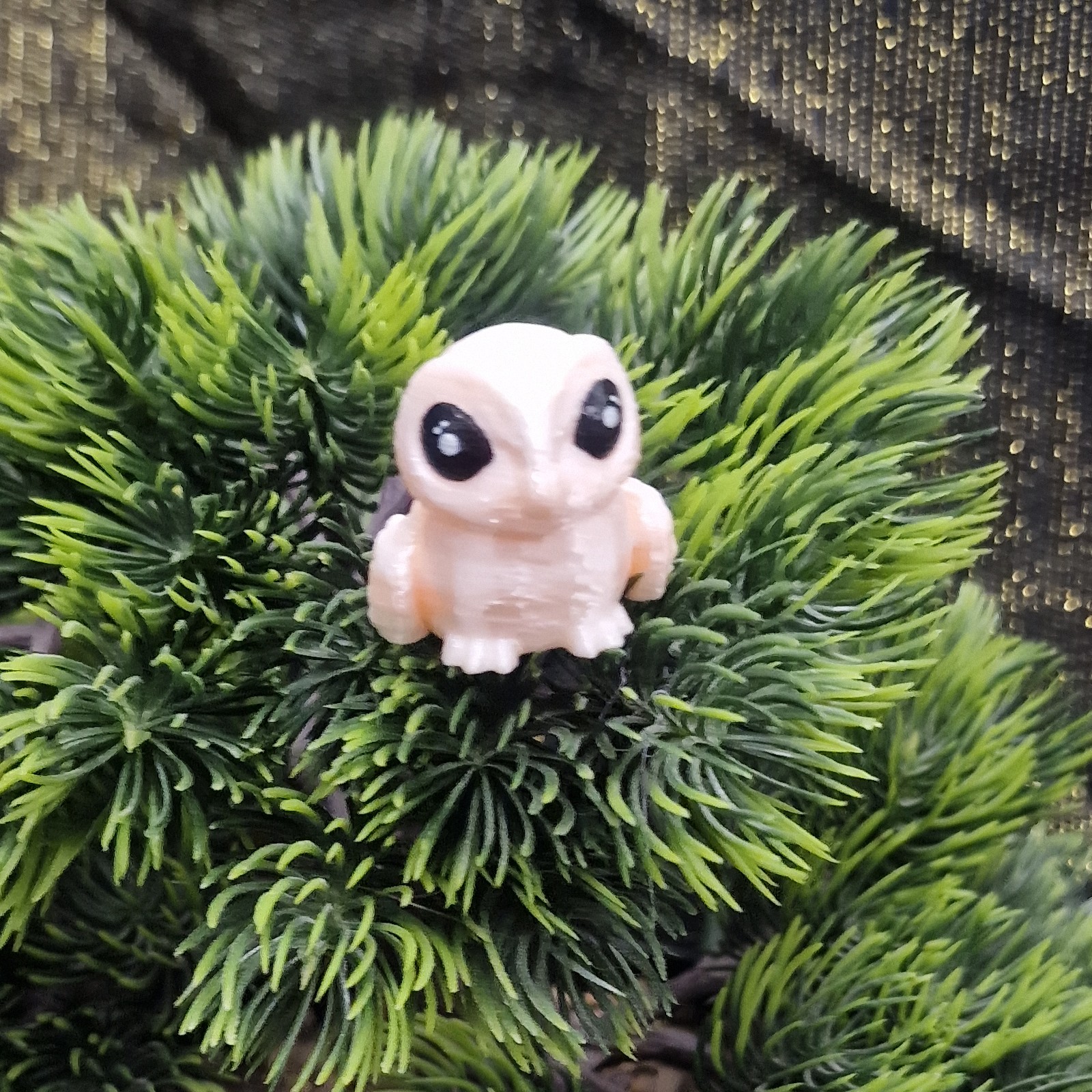 Nouveau-Né Chouette