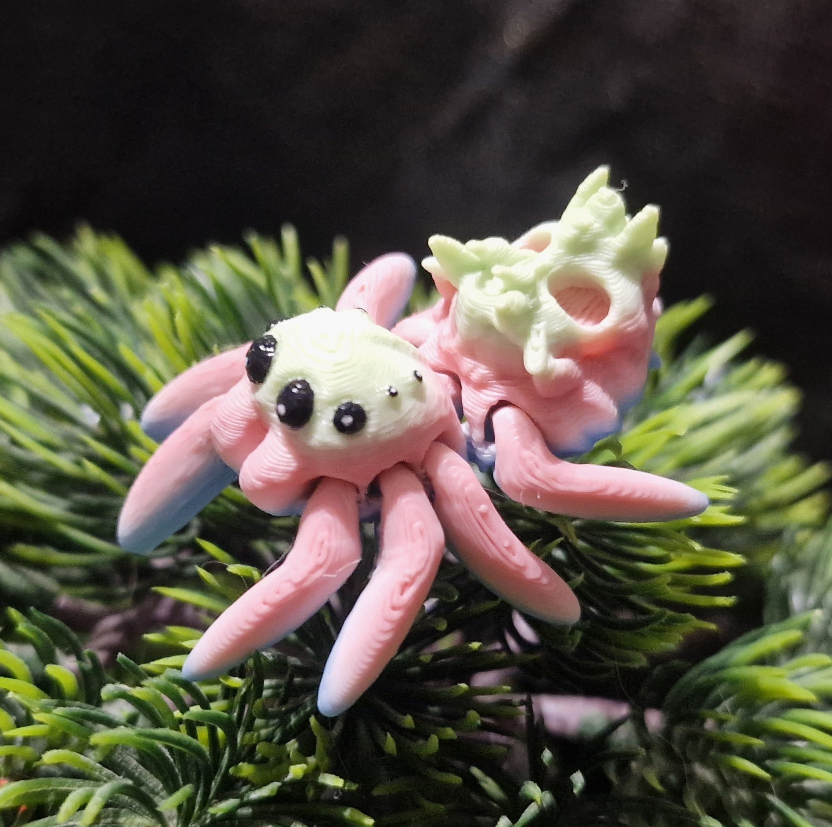 Petite Araignée Tête de mort
